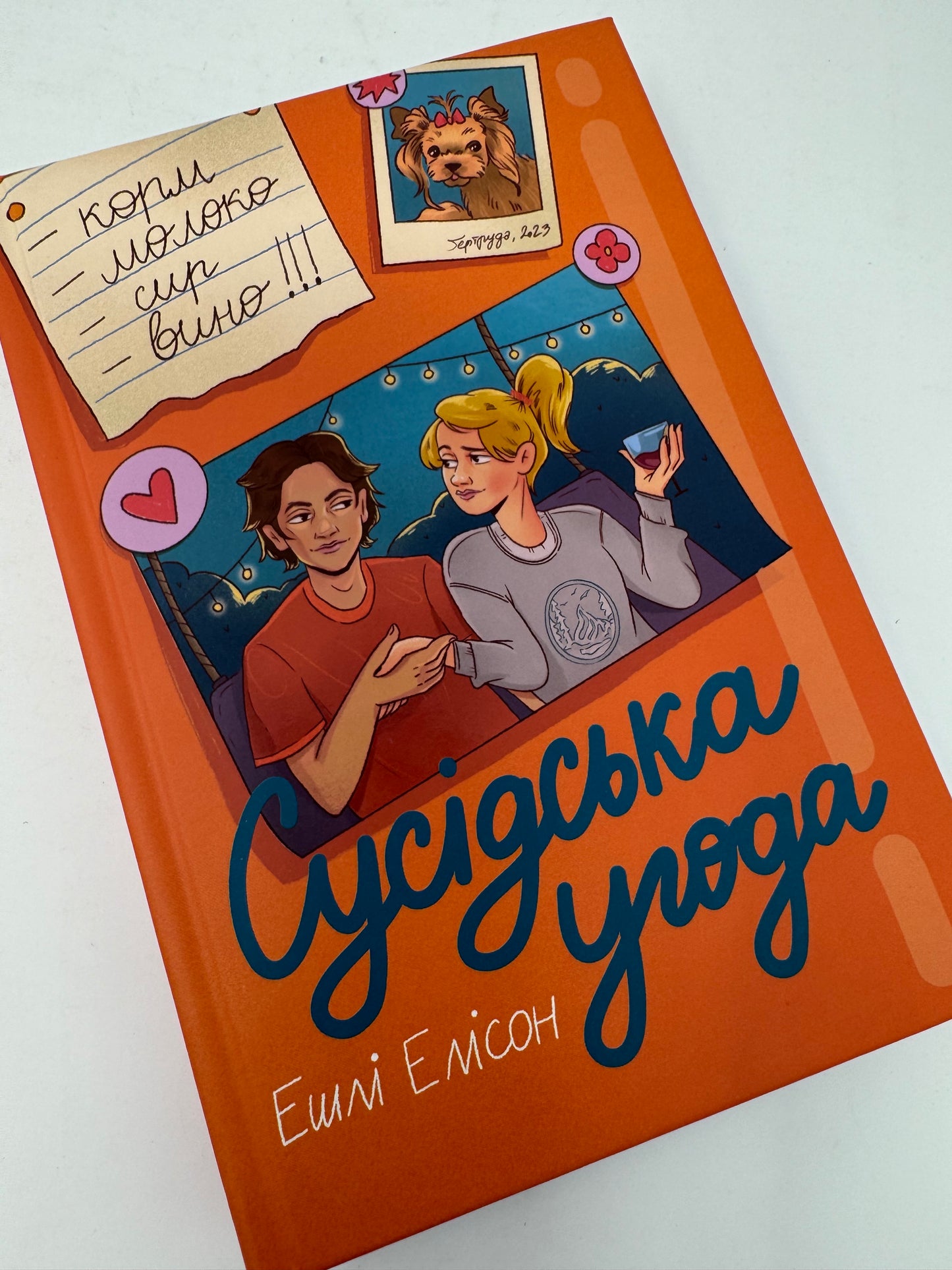 Сусідська угода. Ешлі Елісон / Світові бестселери українською