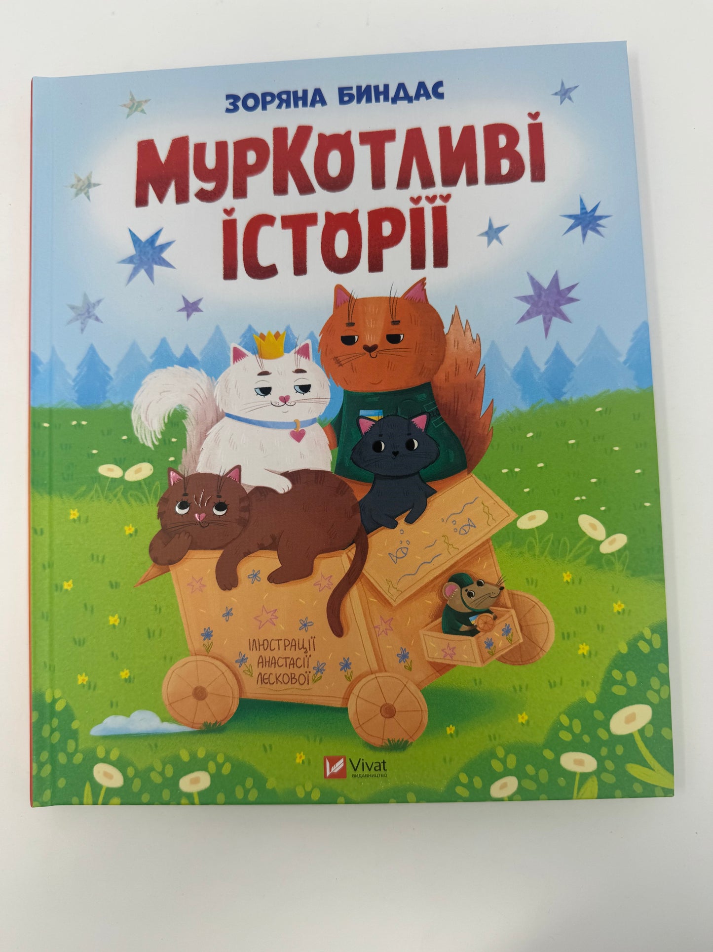 МурКотливі історії. Зоряна Биндас / Українські книги для дітей