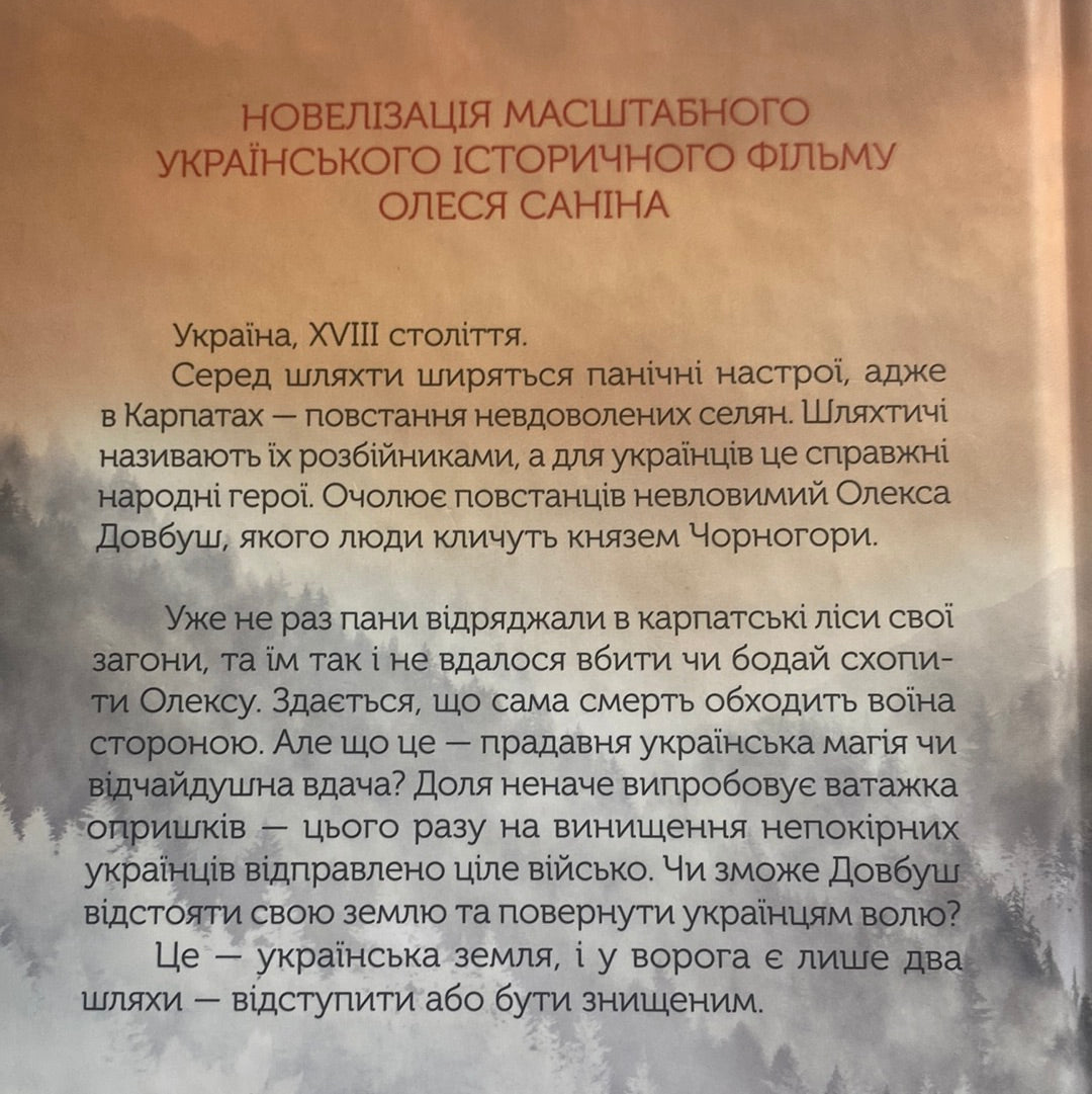 Довбуш: гідність або забуття. Василь Карпʼюк / Українські історичні романи