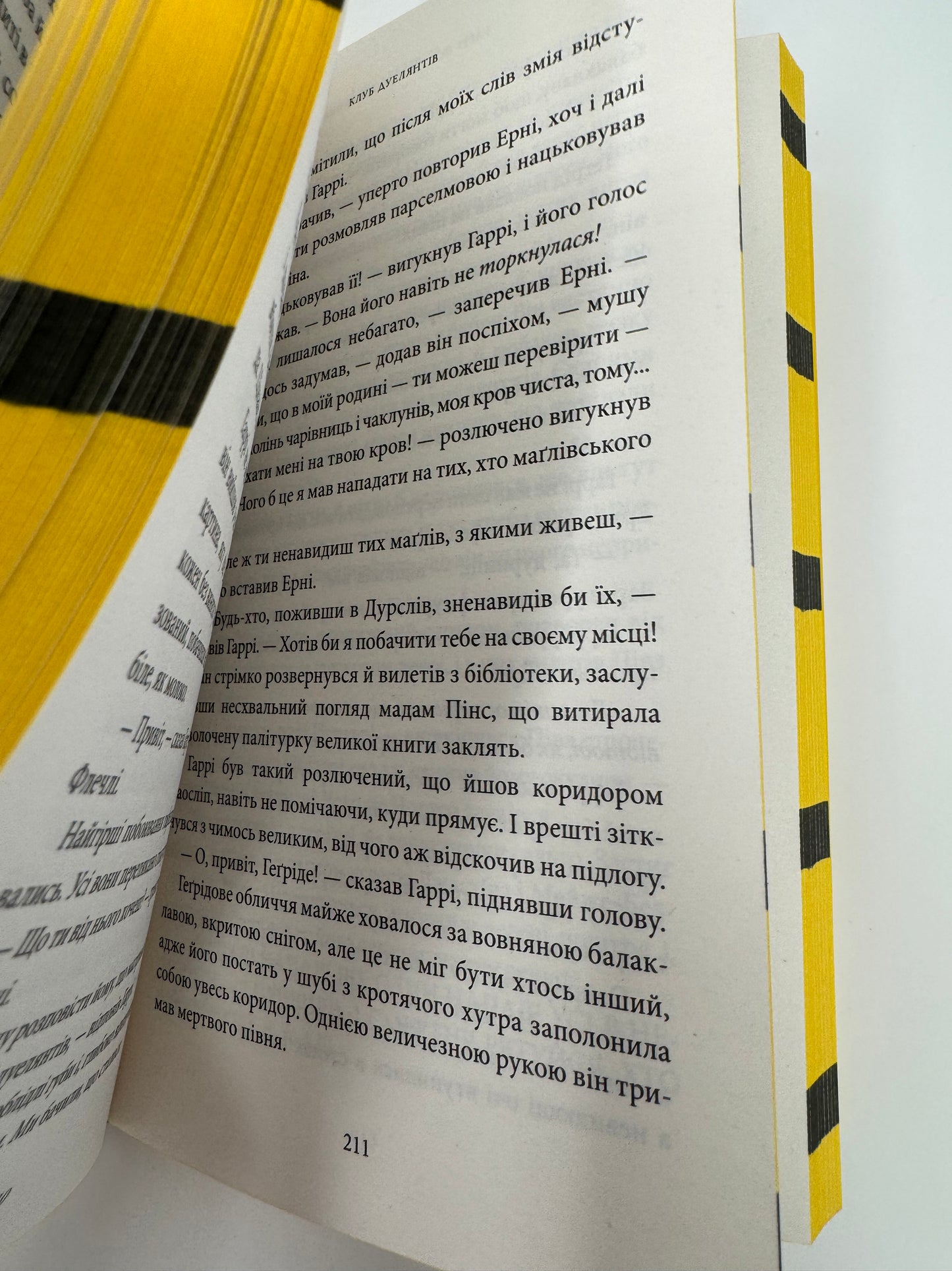 Гаррі Поттер і таємна кімната. Гафелпаф. Ґоґвардське видання / Книги зі світу Гаррі Поттера