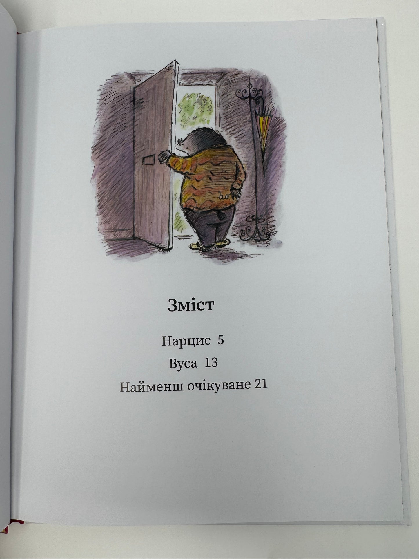 Миш і Кріт зустрічають несподіванки. Джойс Данбар і Джеймс Мейгʼю / Книги для дітей купити українською
