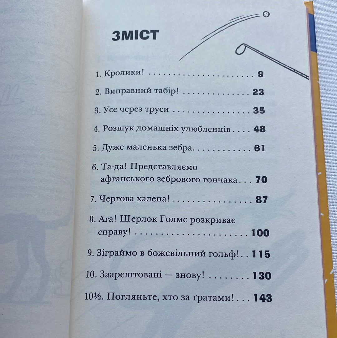 Ракета на чотирьох лапах під прикриттям. Джеремі Стронґ / Світові дитячі бестселери українською