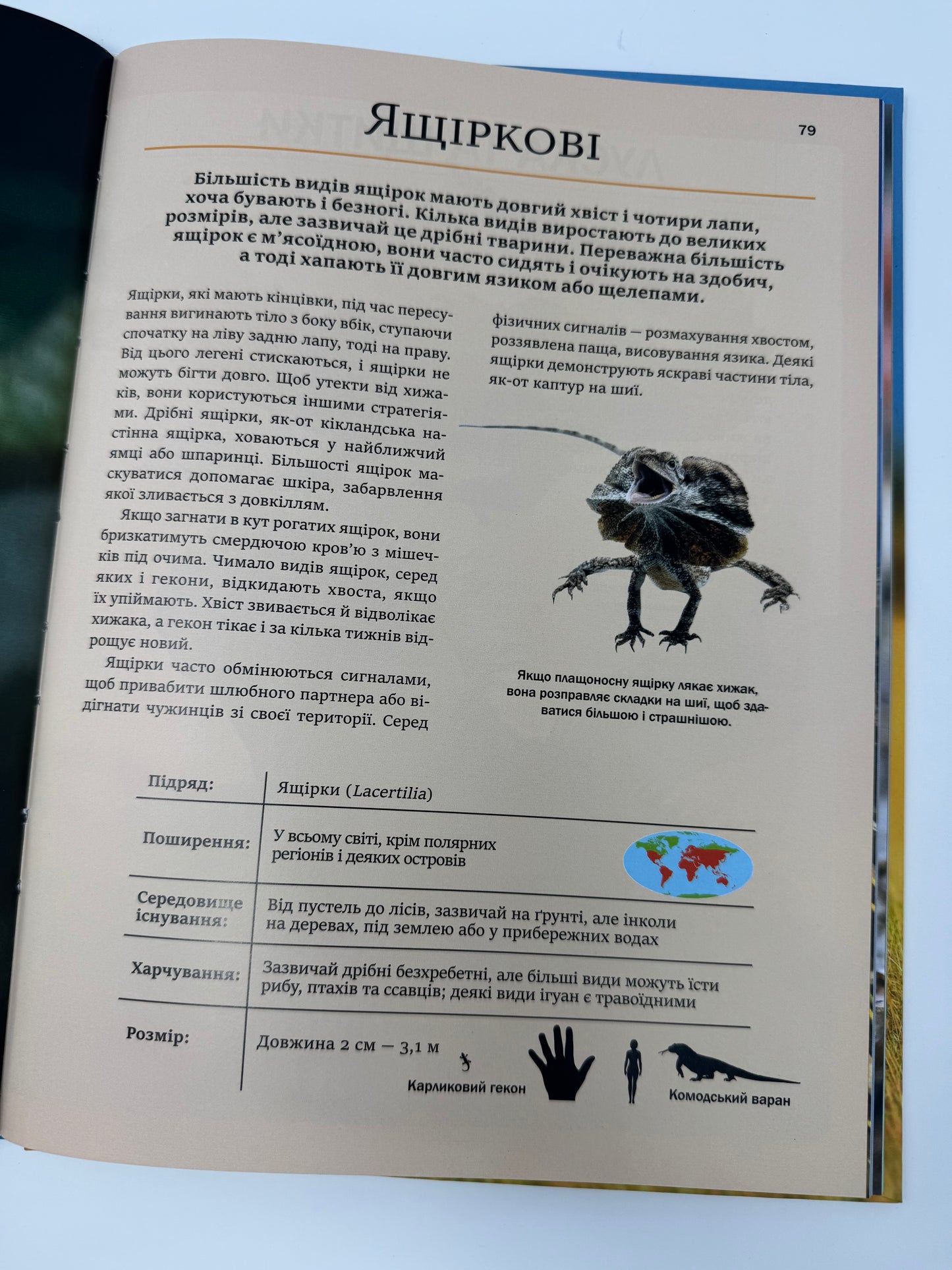 Велика книга тварин. Клаудія Мартін / Книги та енциклопедії для дітей