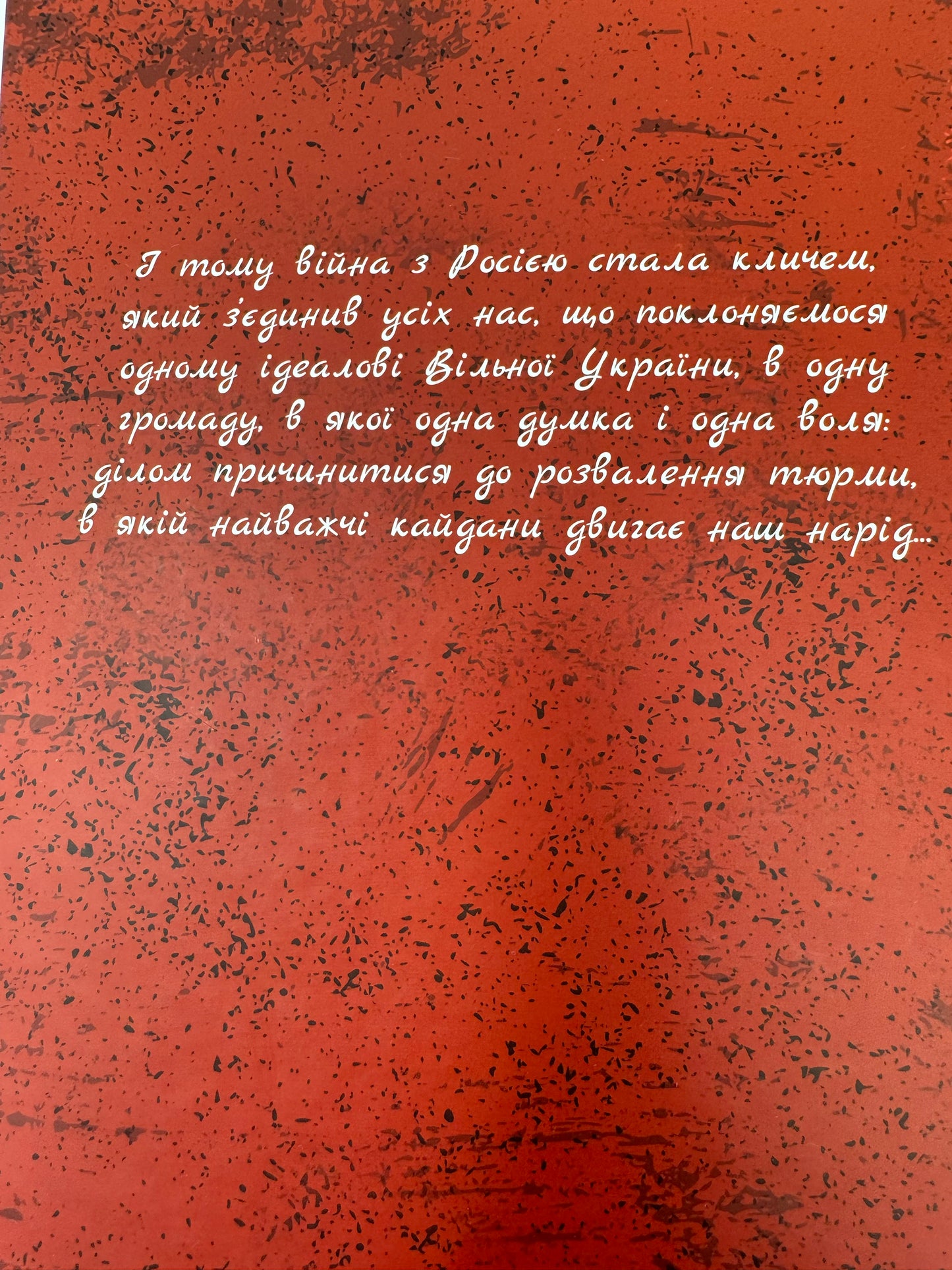 Видиш, брате мій. Степан Шухевич / Книги з історії України