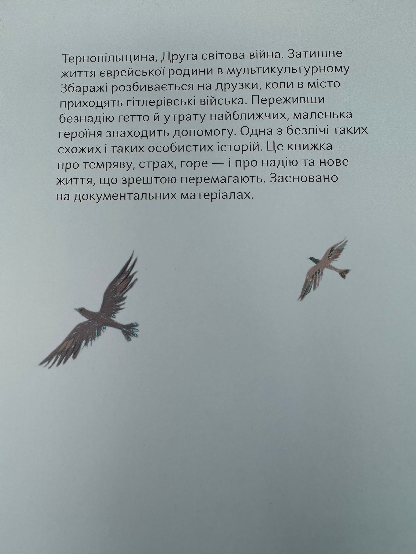 Ми живемо на краю вулкана. Надійка Гербіш / Художні історичні книги для дітей