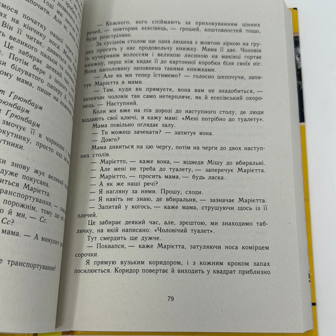 А десь ще сонячно. Мемуари про Голокост. Майкл Ґрюнбаум, Тодд Хасак-Лові / Книги про трагедії людства