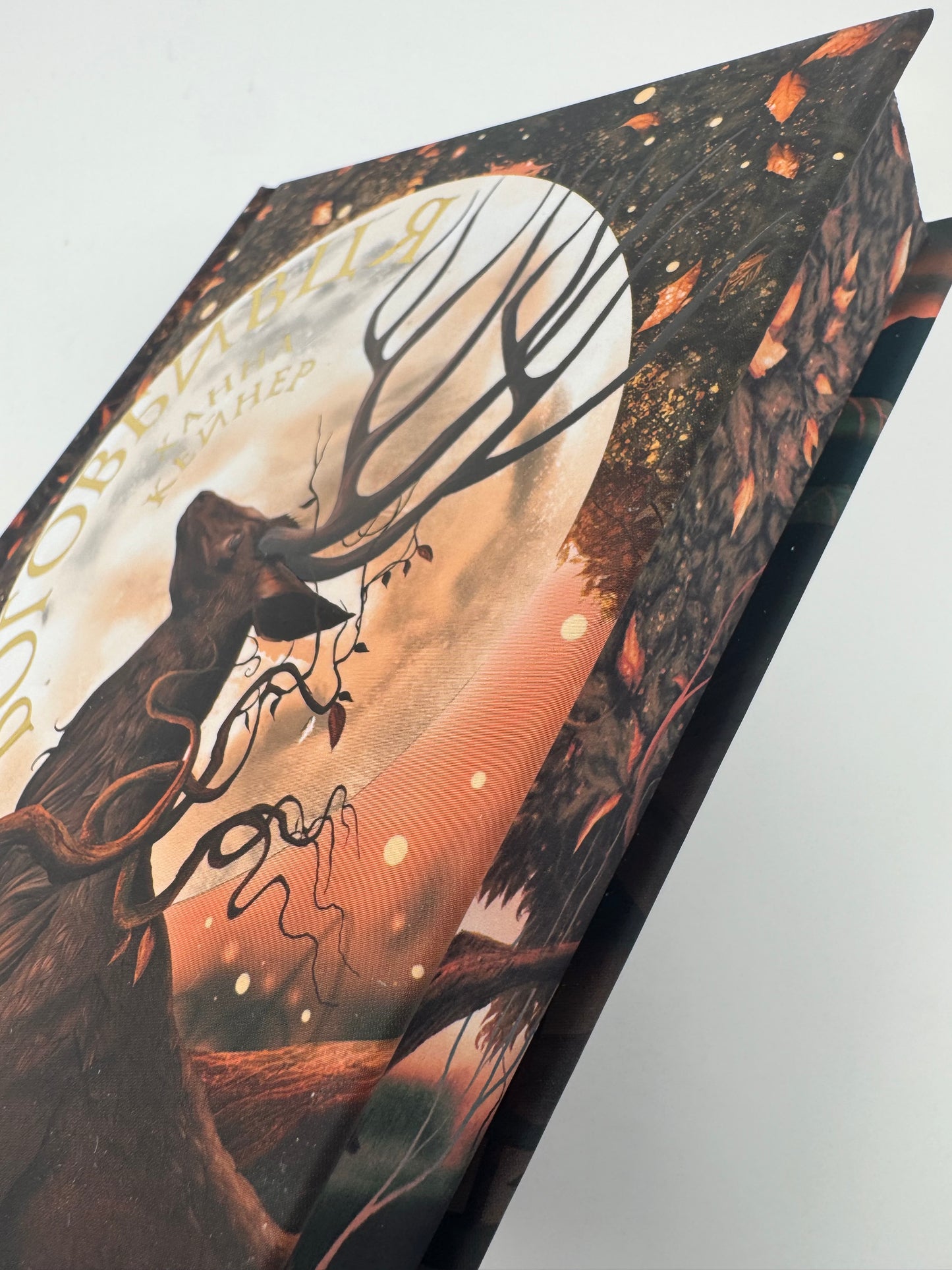 Боговбивця. Limited edition. Ханна Кейнер / Світове фентезі українською