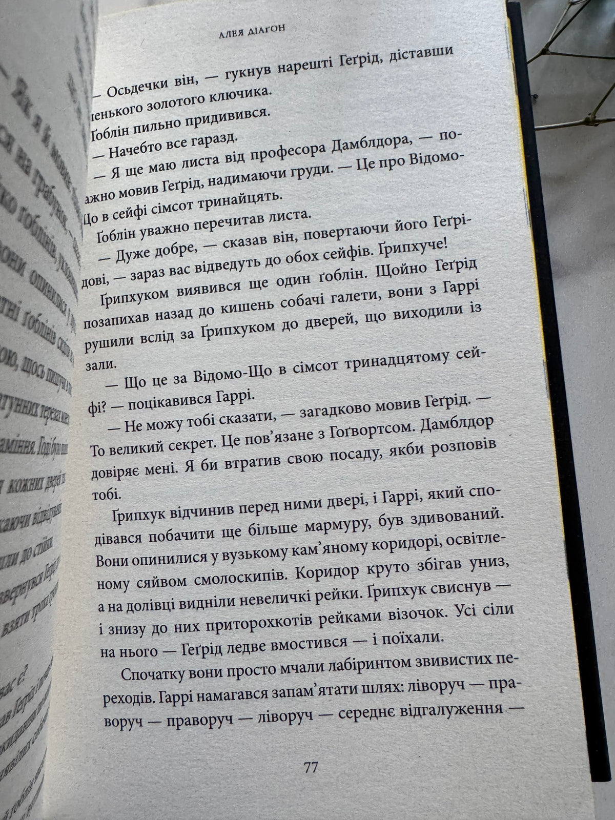 Гаррі Поттер і філософський камінь. Гафелпафське видання. Джоан Ролінґ / Книги про Гаррі Поттера купити