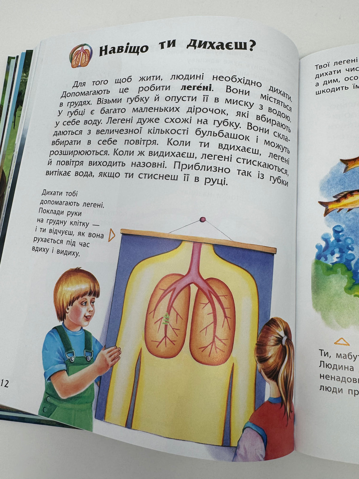 Енциклопедія дошкільника. Юлія Каспарова / Енциклопедії дитячі купити