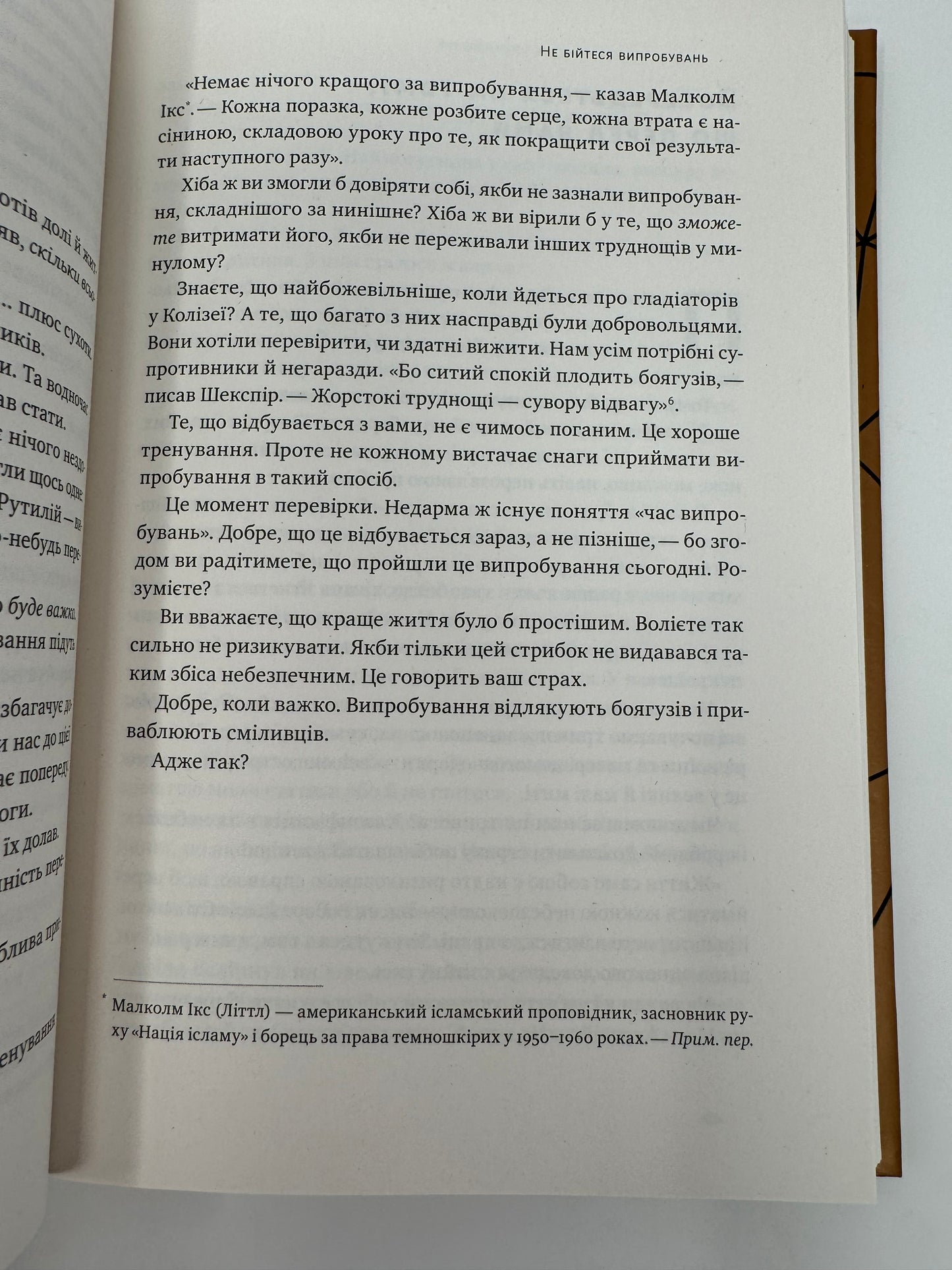 Відвага кличе. Доля допомагає хоробрим. Раян Голідей / Світові бестселери українською