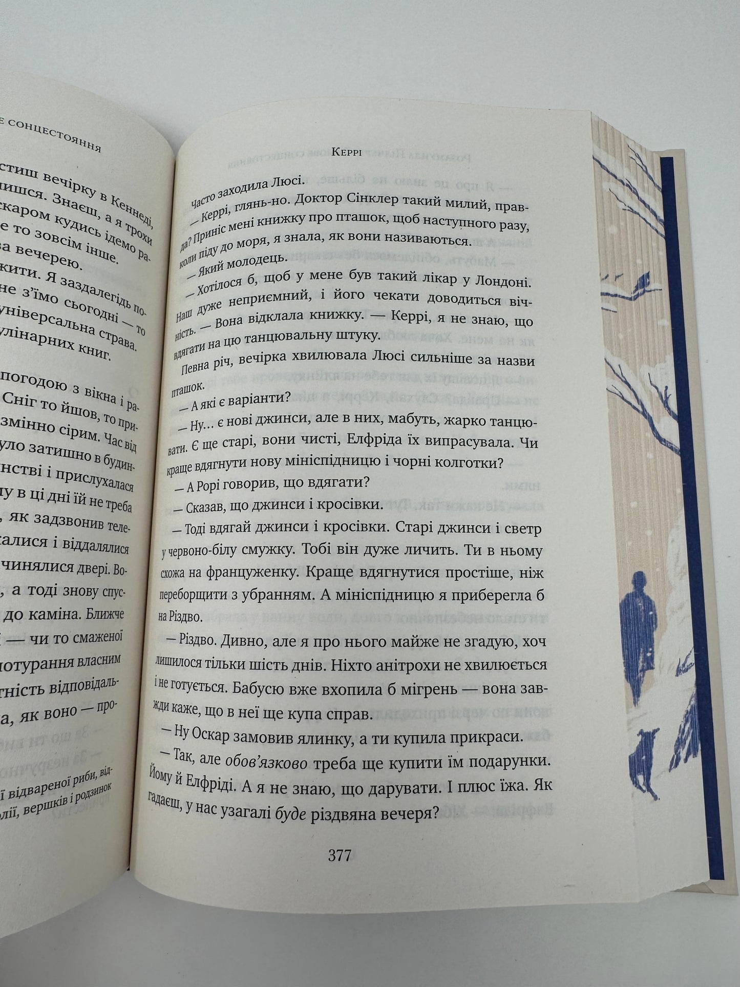 Зимове сонцестояння. Розамунда Пілчер / Світові бестселери українською