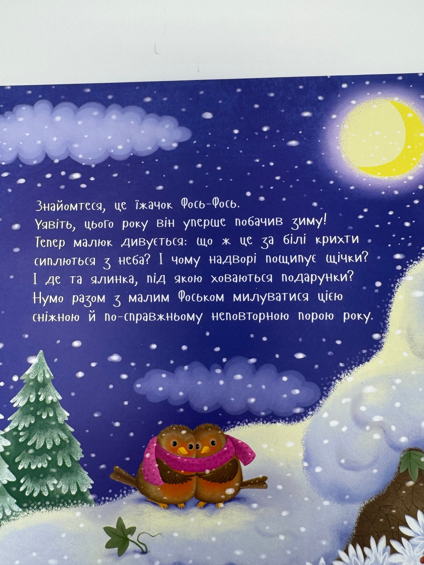 Рік їжачка Фось-Фося. Що таке зима. Наталя Мусієнко / Зимові українські книги для дітей