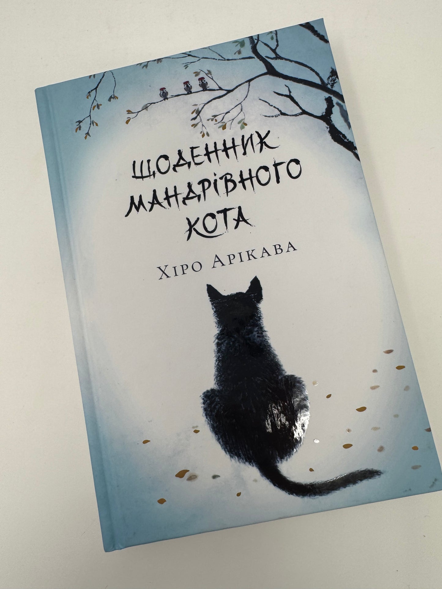 Щоденник мандрівного кота. Хіро Арікава / Японські книги українською