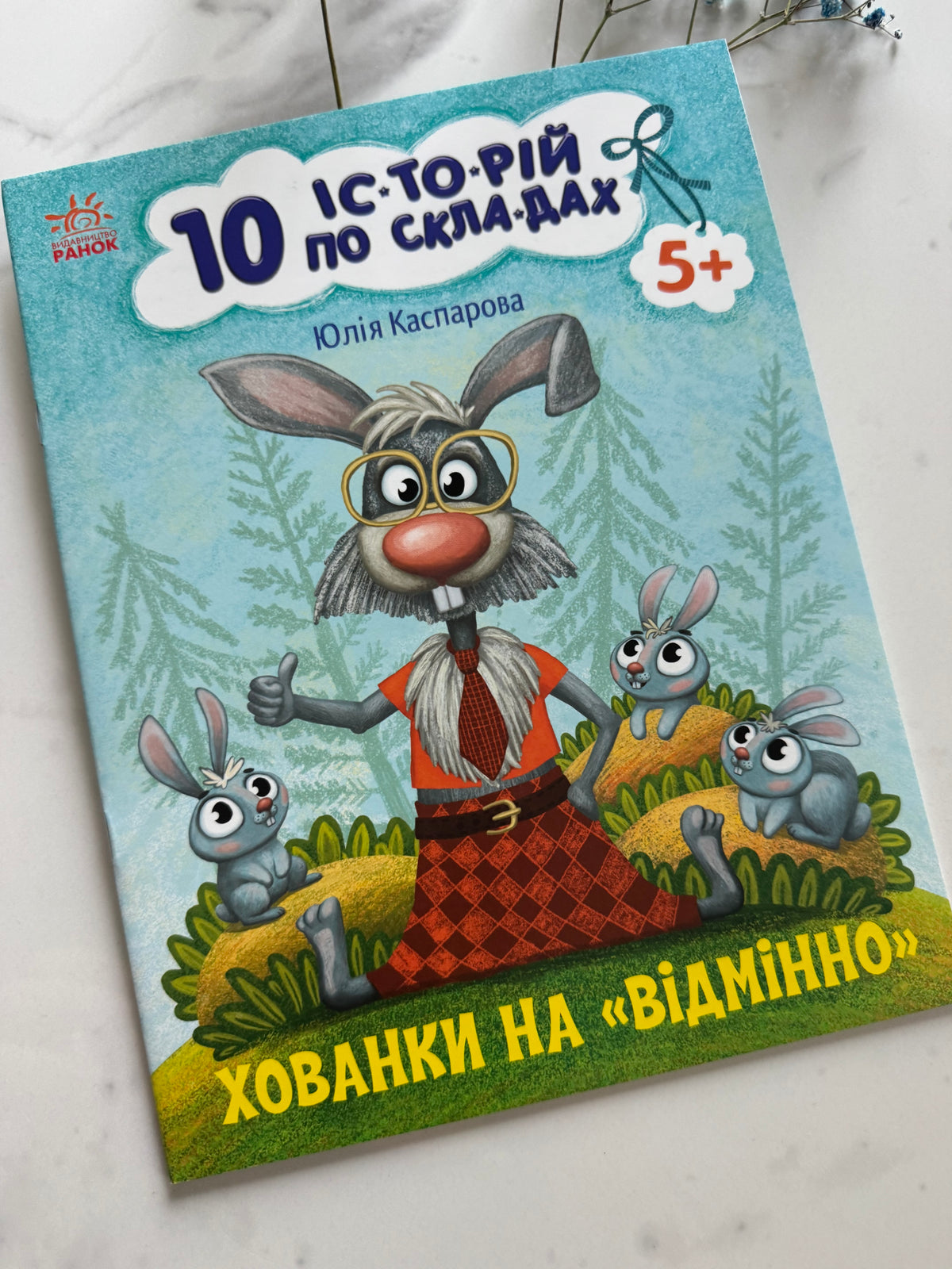 10 історій по складах. Хованки на «відмінно». Юлія Каспарова / Книги для перших читань