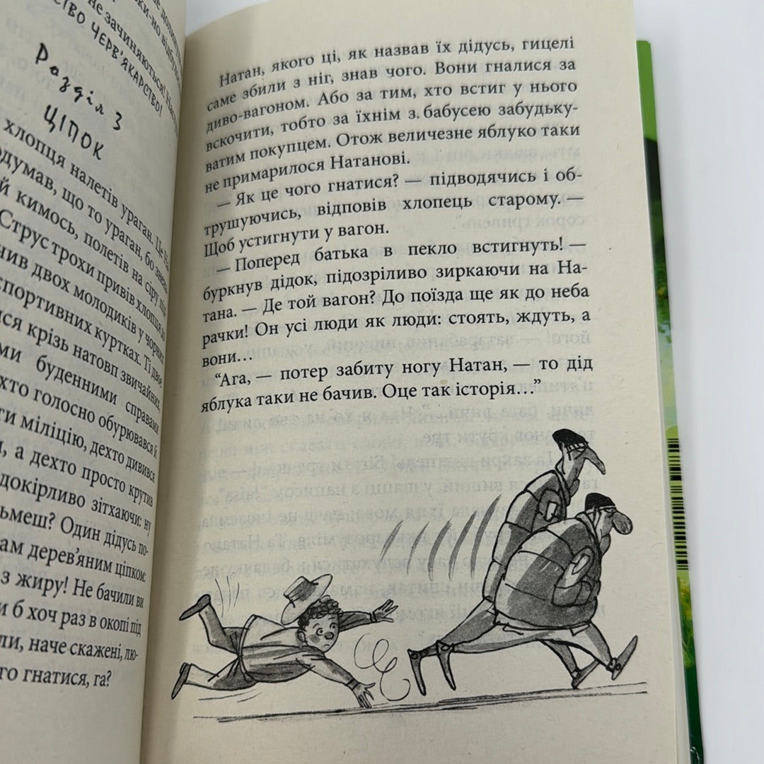 Царство яблукарство. Сашко Дерманський / Українська дитяча пригодницька бібліотека