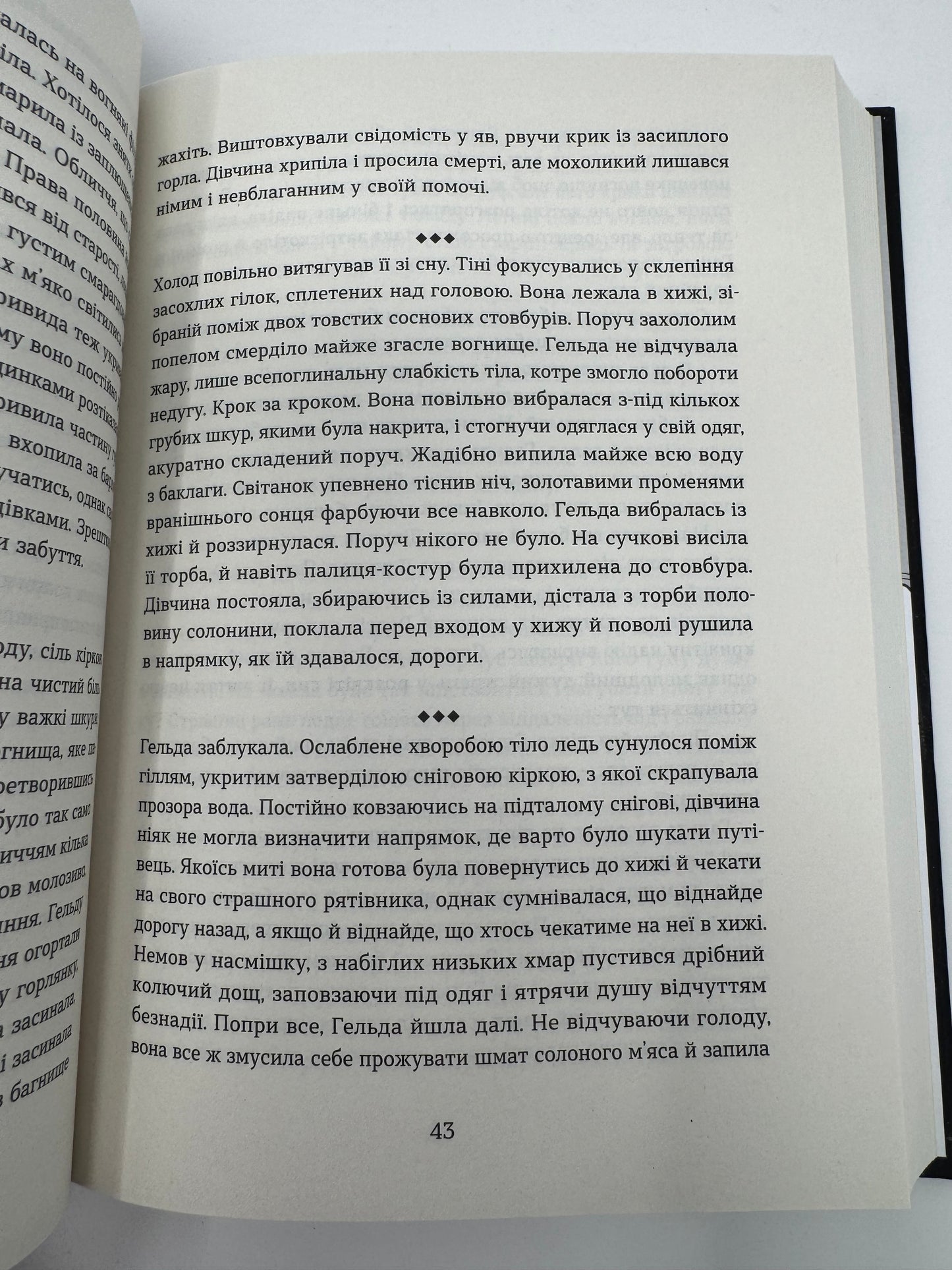 Тінь мертвого бога. Ярослав Шевченко / Українське фентезі купити книги