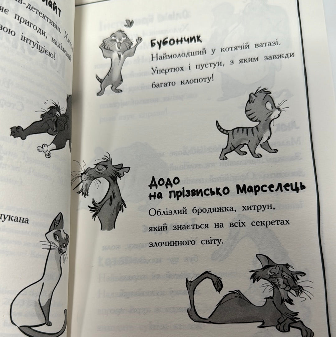 Детективи з вусами. Хто викрав короля кухні? Алессандро Ґатті / Детективні книги для дітей