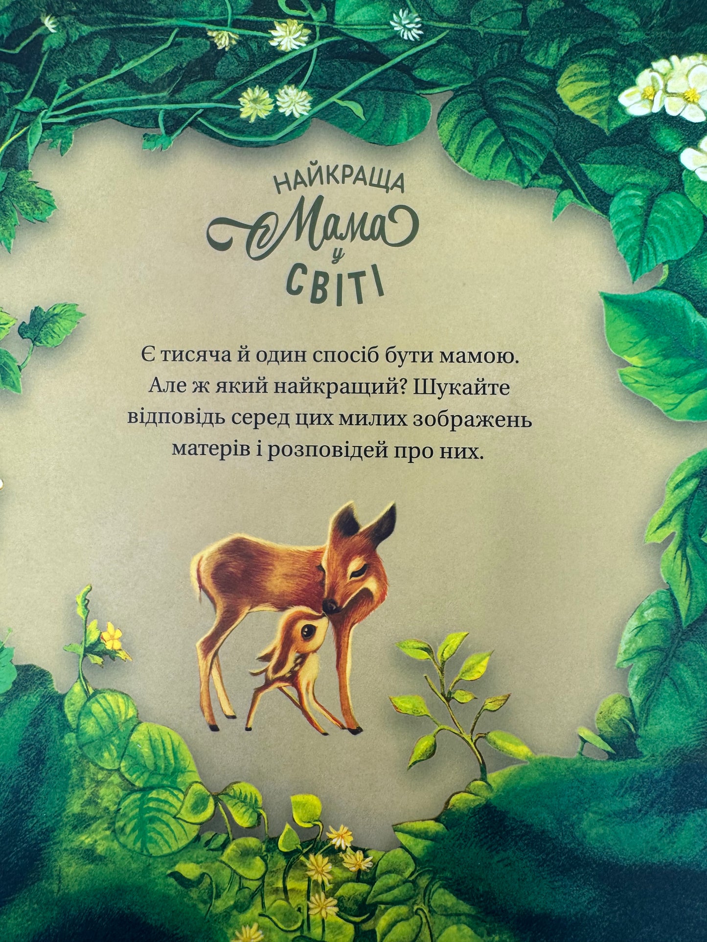 Найкраща мама у світі. Себастьян Перез / Книги про маму для дітей