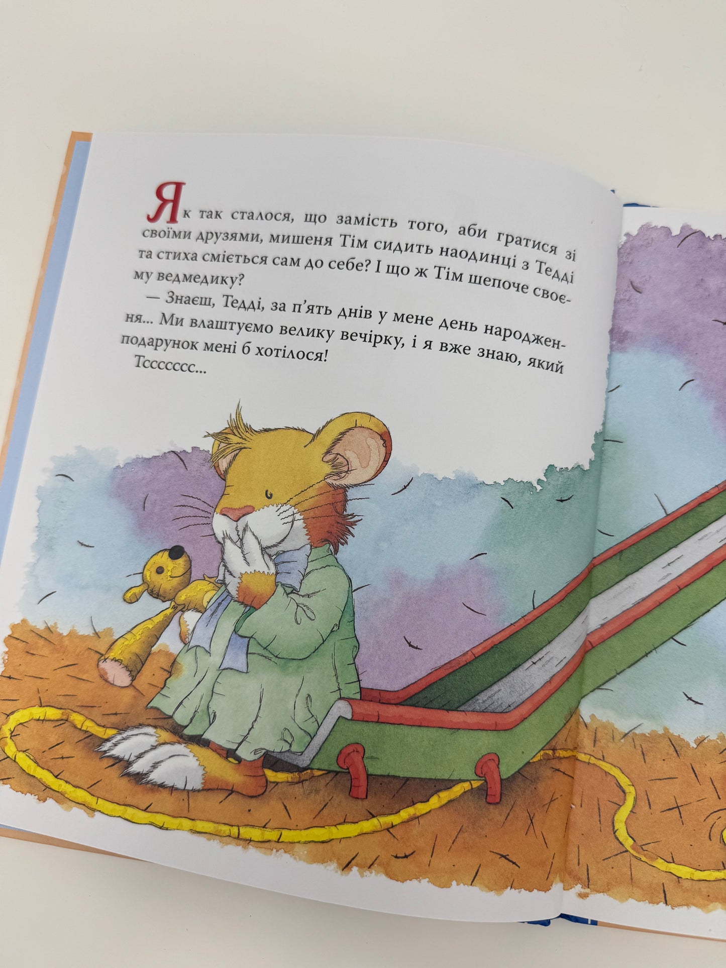 Мишеня Тім святкує день народження. Анна Казаліс / Книги для дітей купити українські