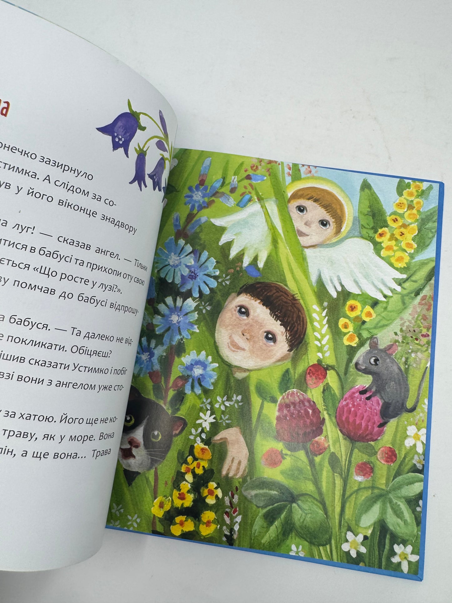 Пригоди Устимка та його ангела-охоронця. Галина Манів / Книги для дітей від українських авторів купити в США