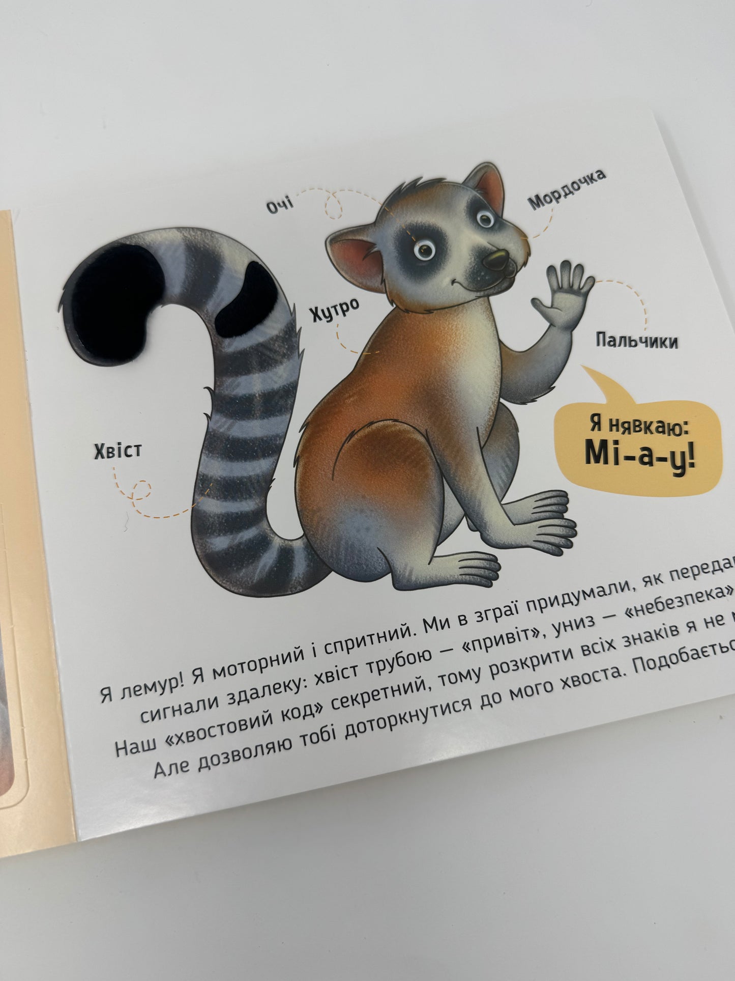 Познайомся і погладь. Тварини світу / Книги тактильні для дітей українські купити