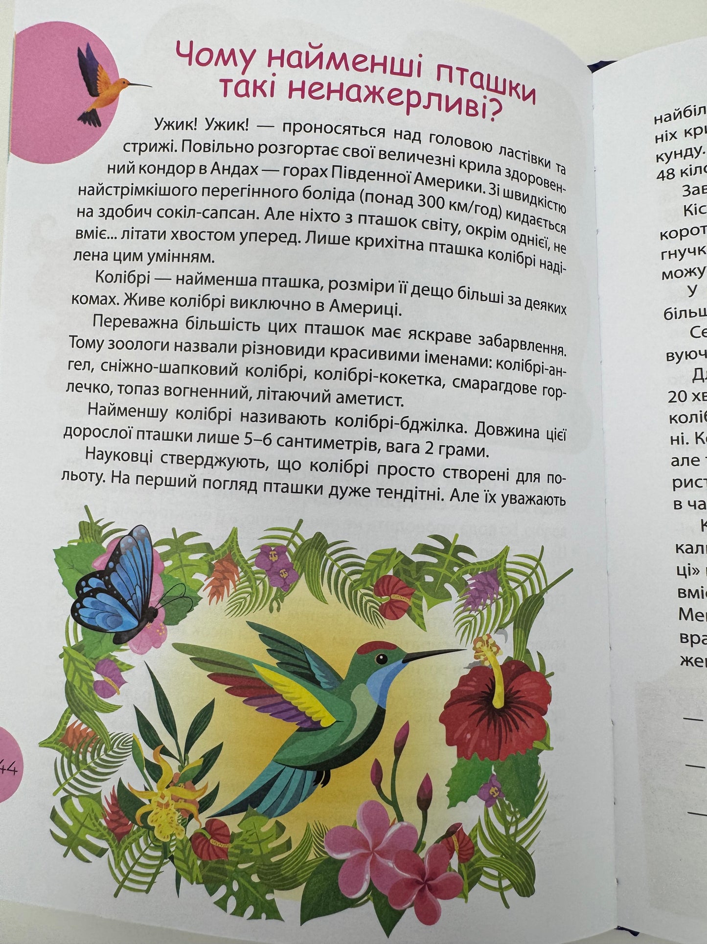 Читанка - ЧОМУчка 8+. Еліна Заржицька / Читанки для дітей
