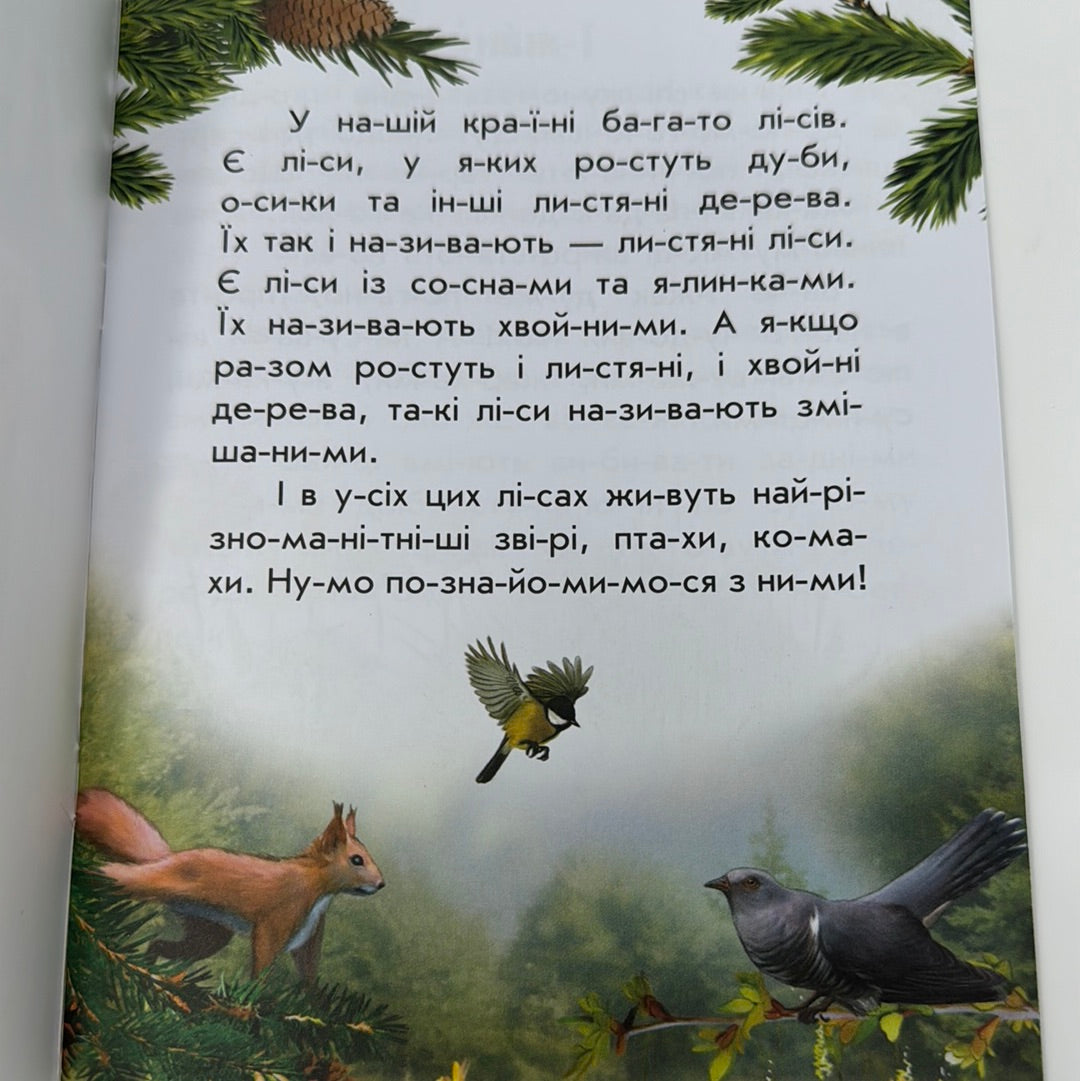 Тварини лісів. Читаю про Україну / Книги для читання по складах