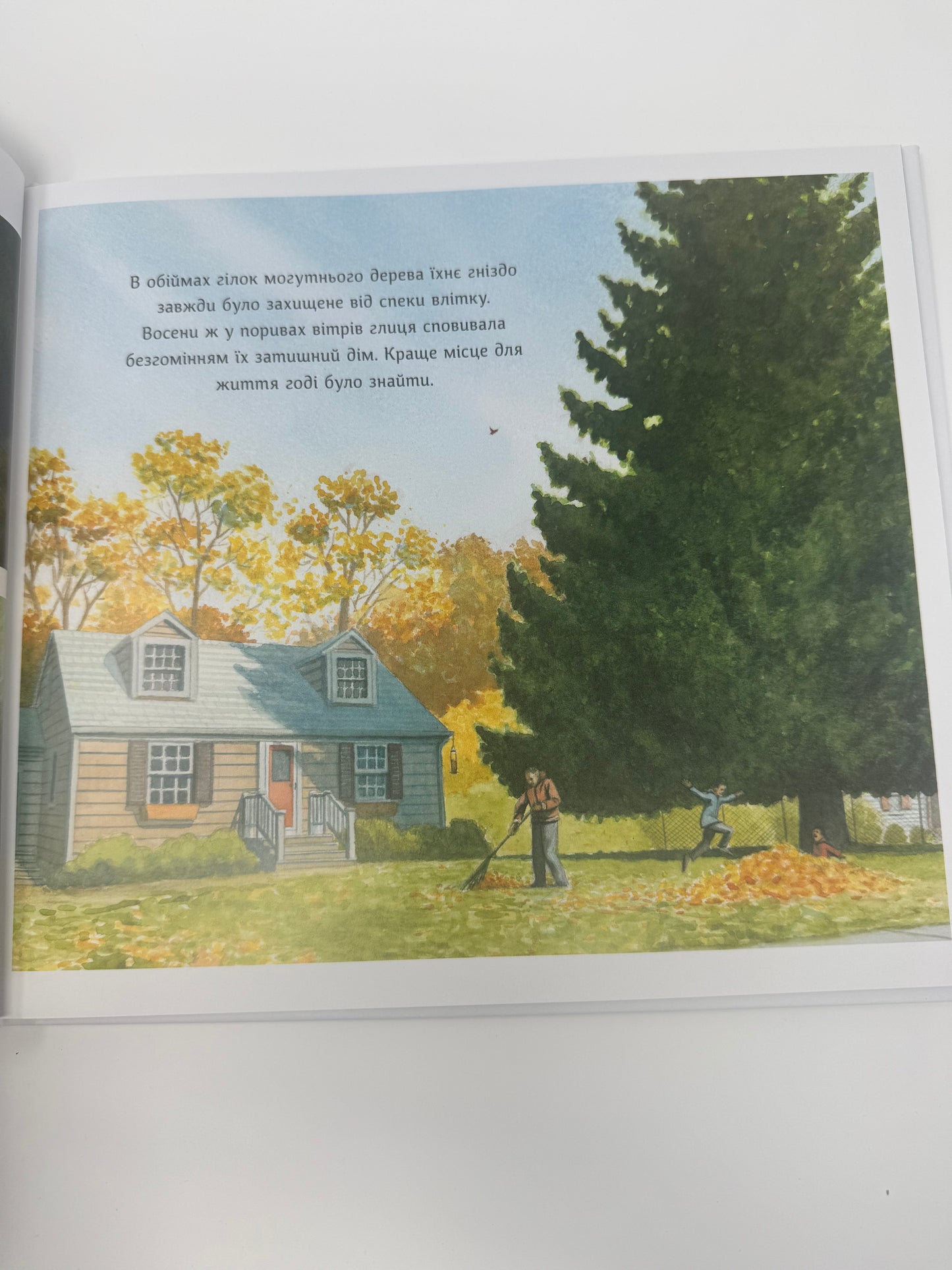 Жеврик і Жаринка. Метт Таварес / Книги купити для дітей дитячі