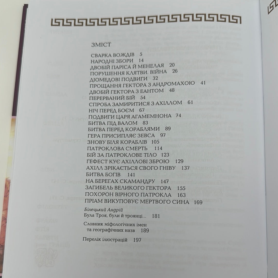 Гомерова «Іліада». Серія «Світовид» / Древньогрецька література українською