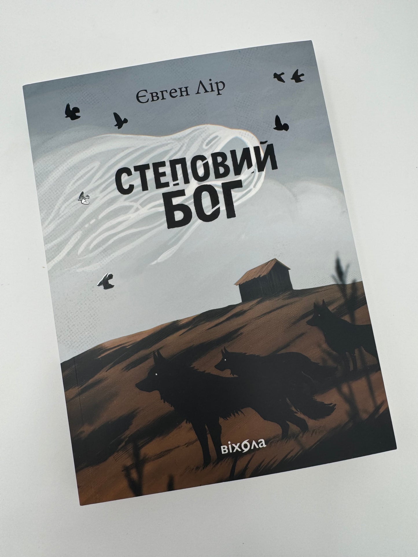 Степовий Бог. Євген Лір / Сучасна українська проза