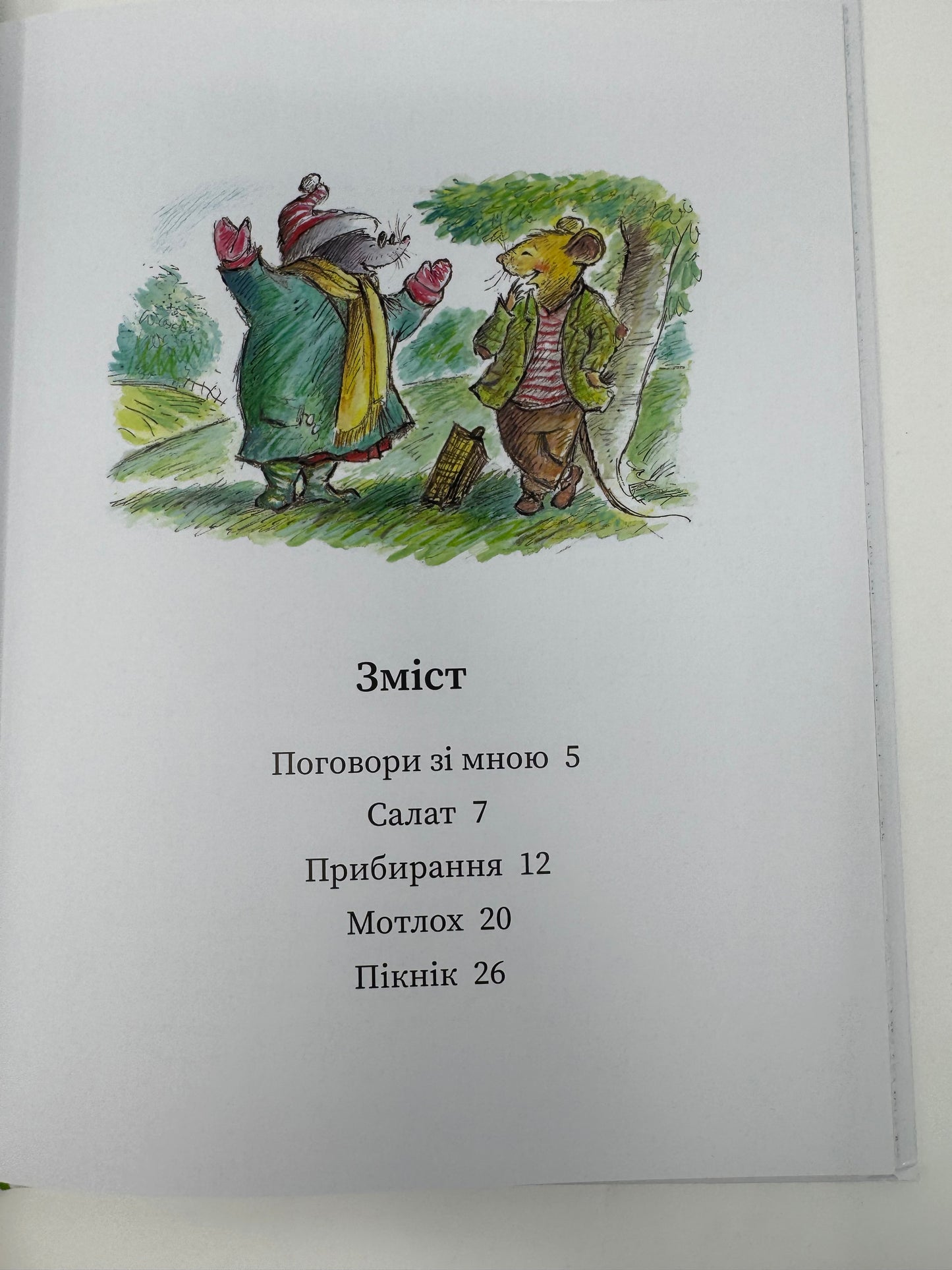 Миш і Кріт. Джойс Данбар і Джеймс Мейгʼю / Книги для дітей купити українською