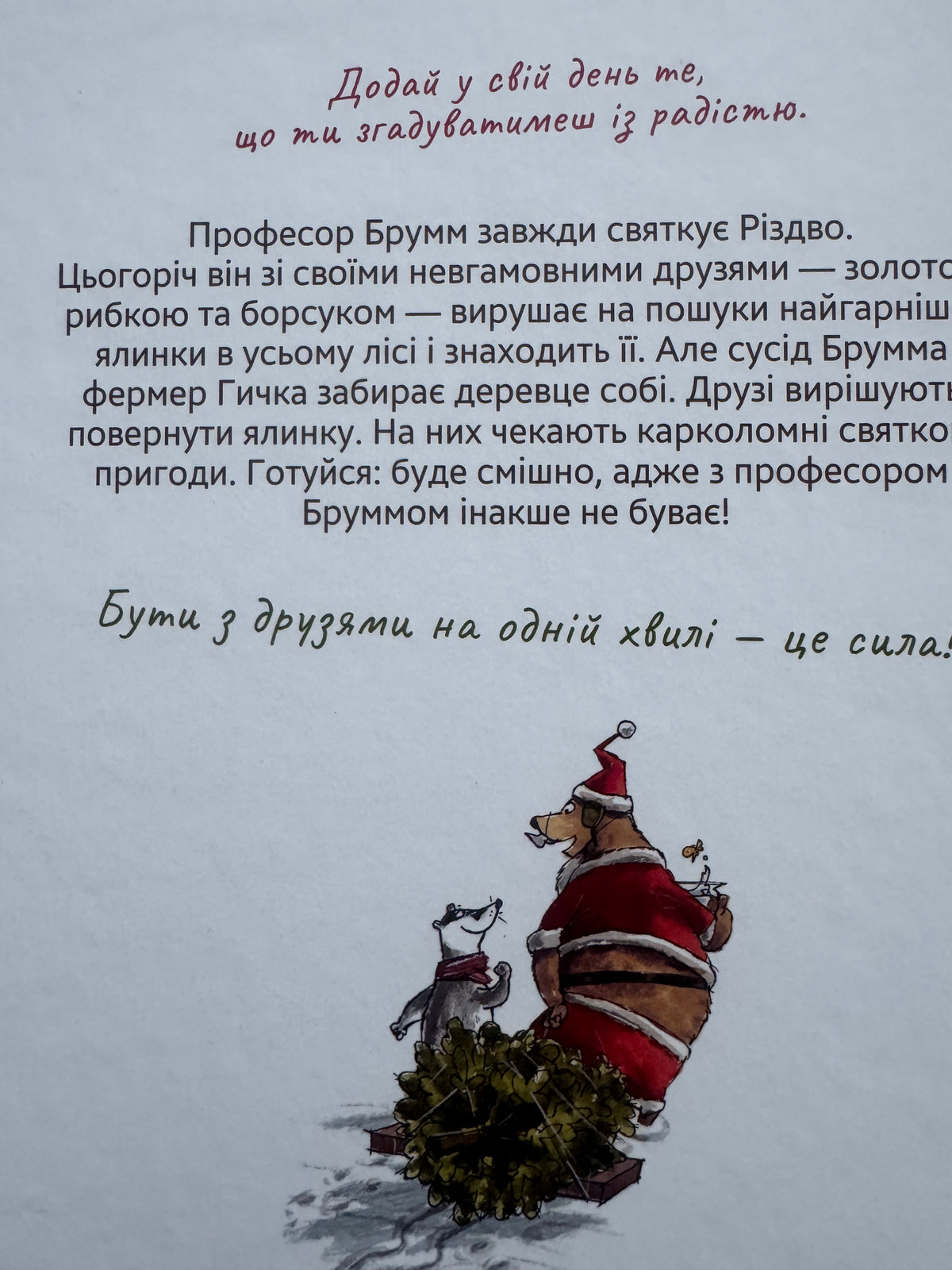 Професор Брумм святкує Різдво. Даніель Напп / Різдвяні дитячі книги купити