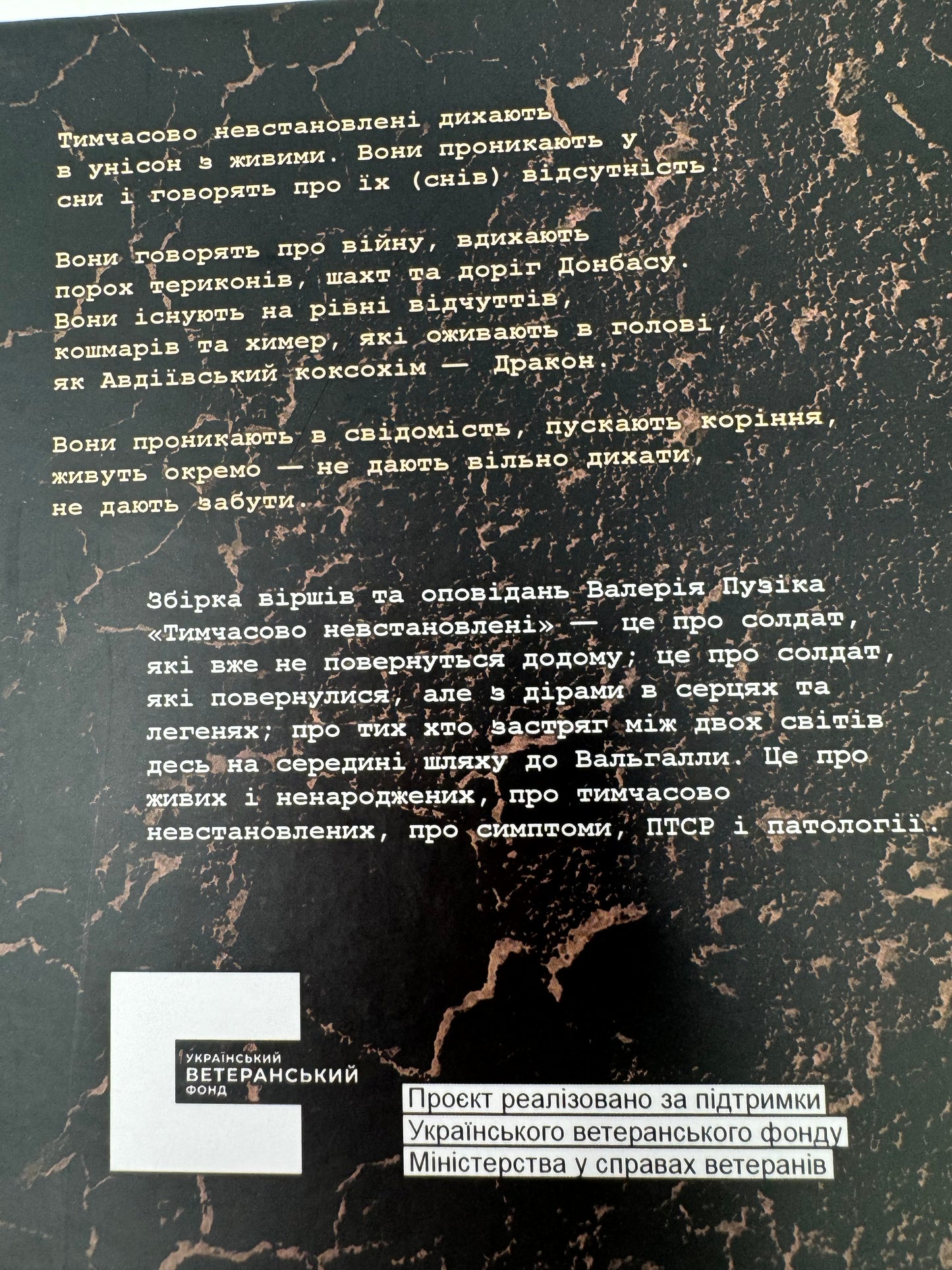 Тимчасово невстановлені. Валерій Пузік / Сучасна література від українських військових