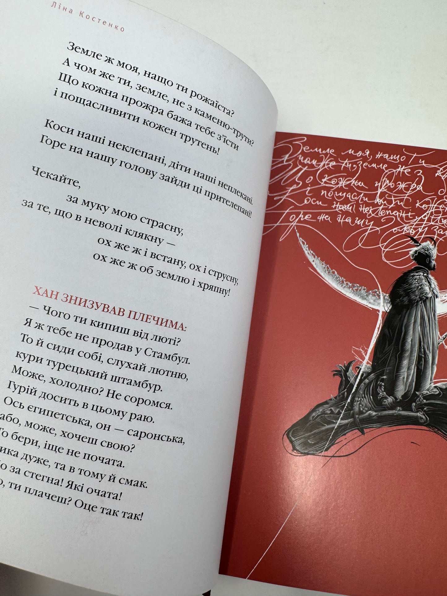 Берестечко. Ліна Костенко / Книги Ліни Костенко купити в США, Lina Kostenko books