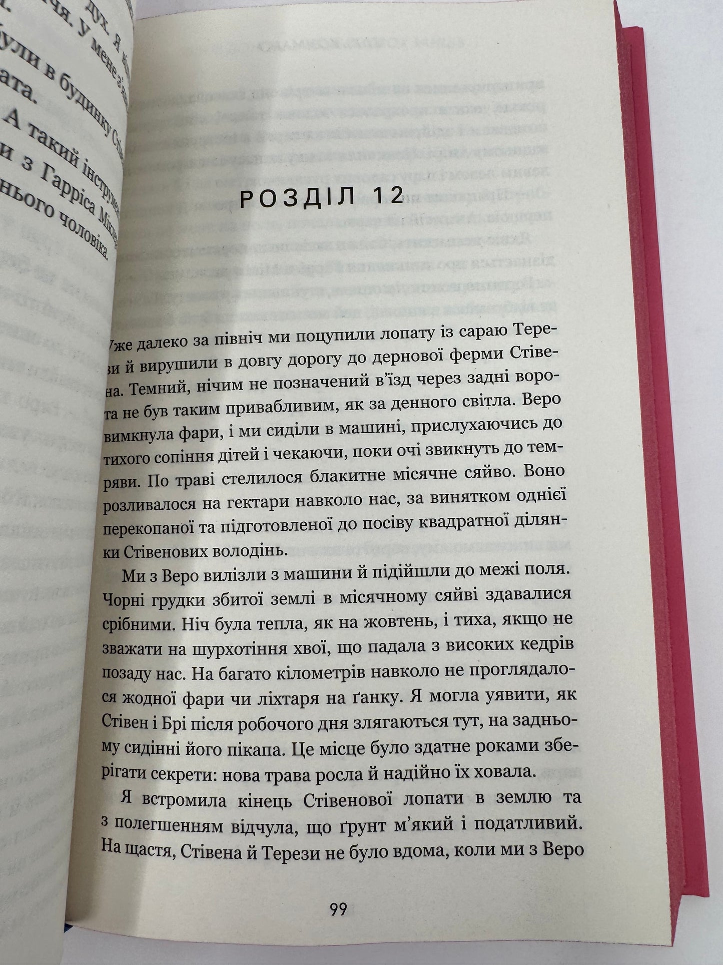 Фінлі Донован убиває двох зайців. Елль Козімано / Світові бестселери купити українською