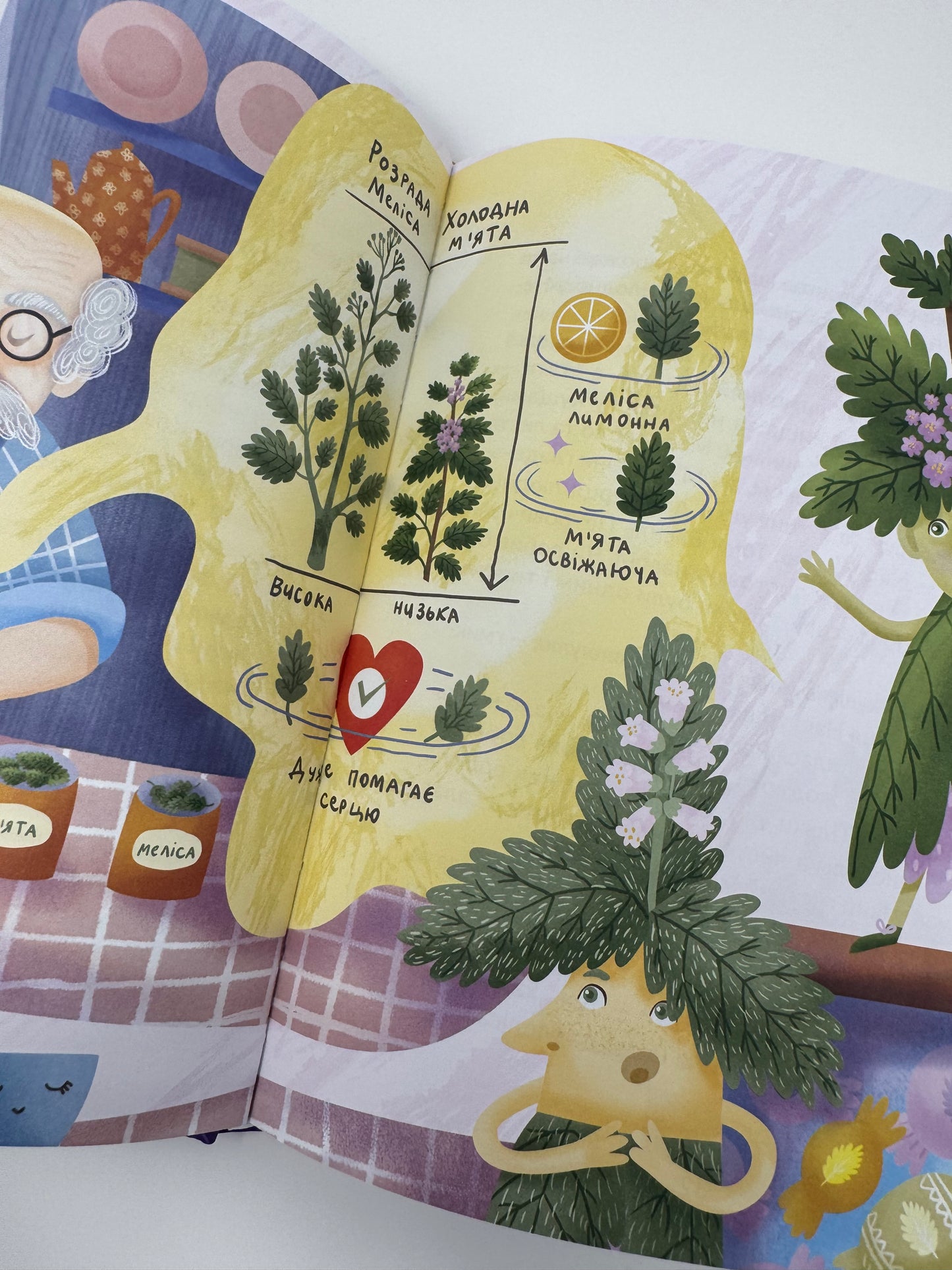 Запашні історії. Мирослав Дочинець / Книги Мирослава Дочинця купити в США для дітей