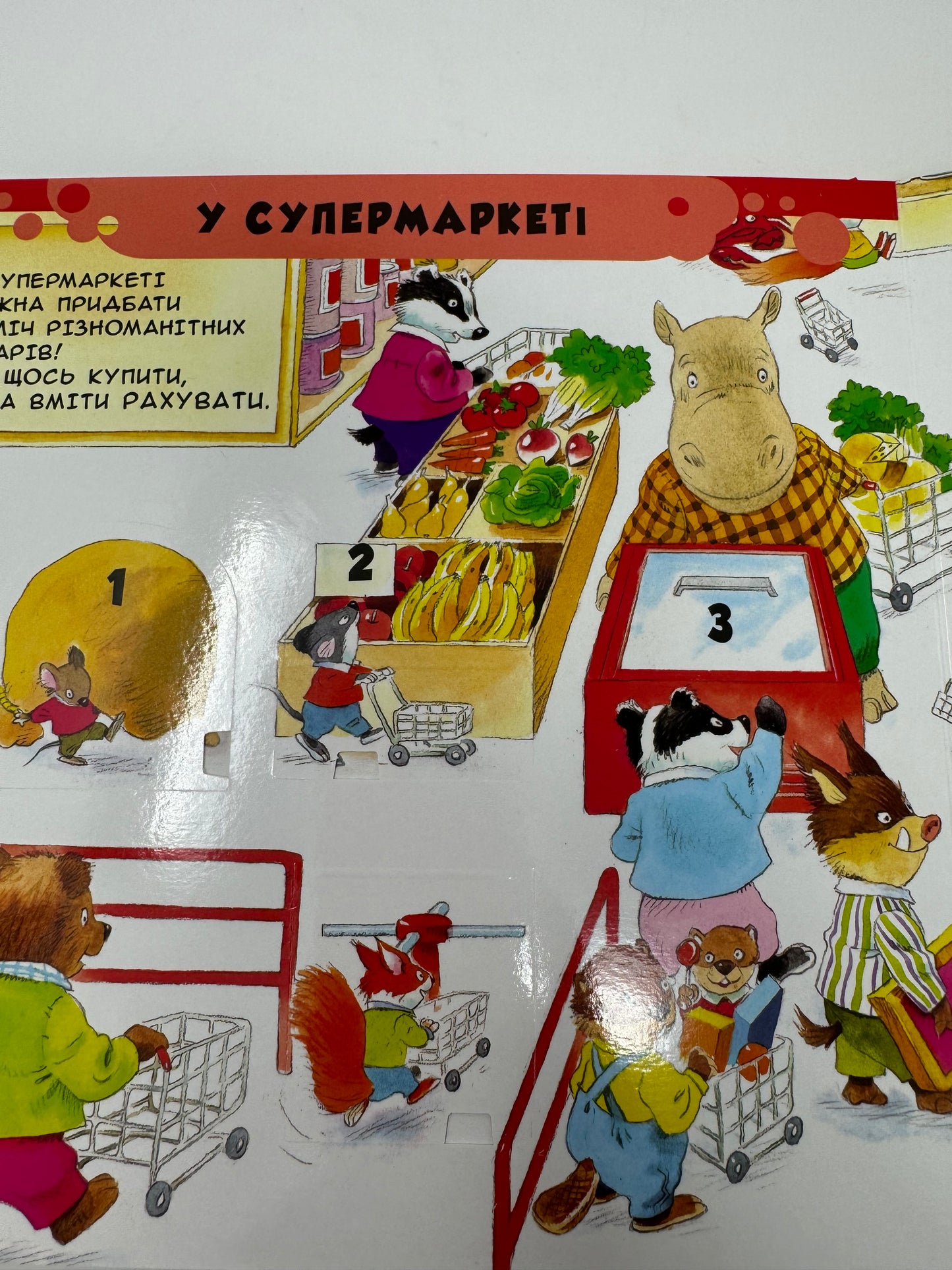 88 чарівних віконець. Вчимо слова. З ілюстраціями Тоні Вульфа / Книги українською купити для дітей в США