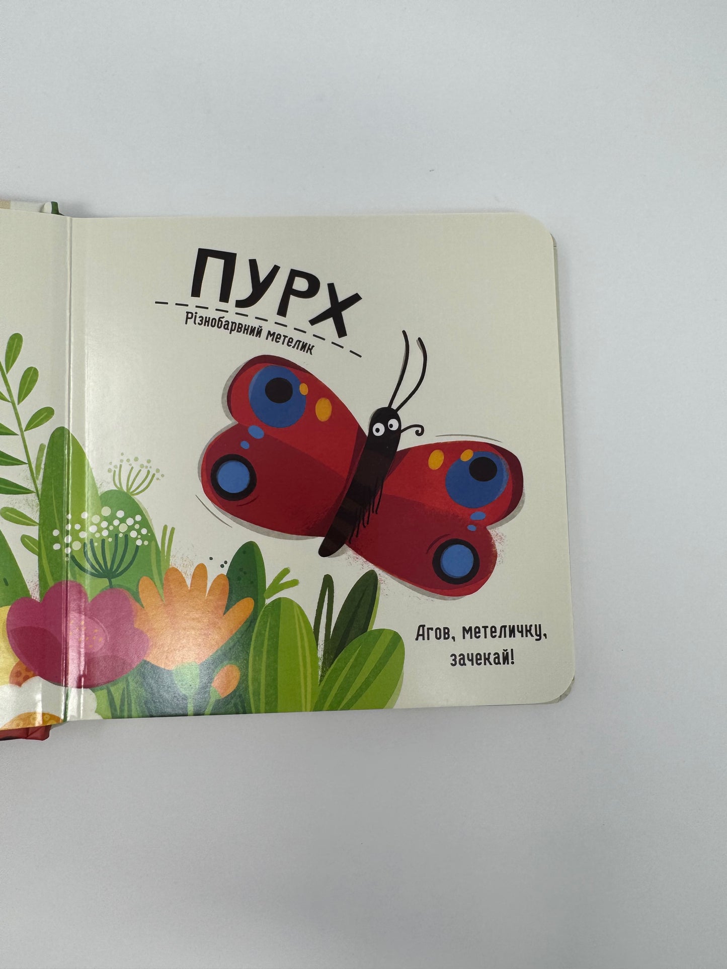 Бодьо вивчає кольори та звуки. Марта Галевська-Кустра / Книги про Бодьо купити українською малятам