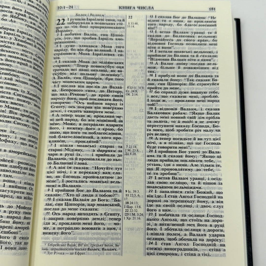 Біблія (чорна обкладинка з рамкою) / Українські Біблії в США