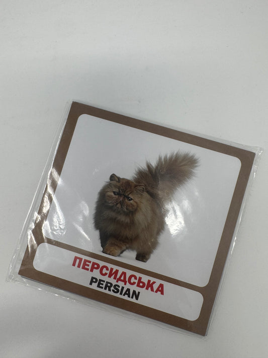 Коти. Cats. Двомовні картки (українська/англійська) / Двомовні картки Домана в США. Bilingual cards