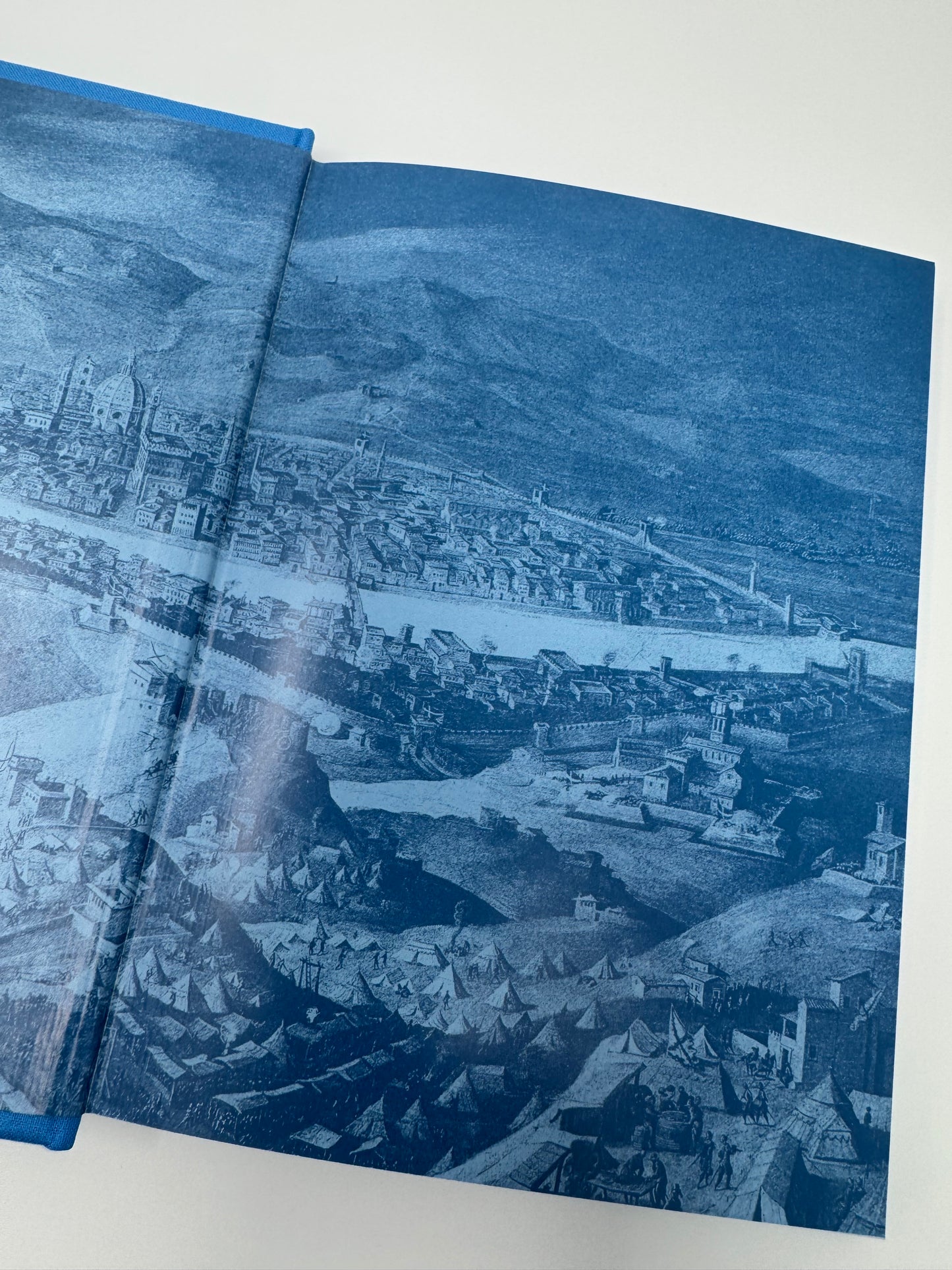 Сніг у Флоренції. Ліна Костенко / Книги Ліни Костенко купити в США