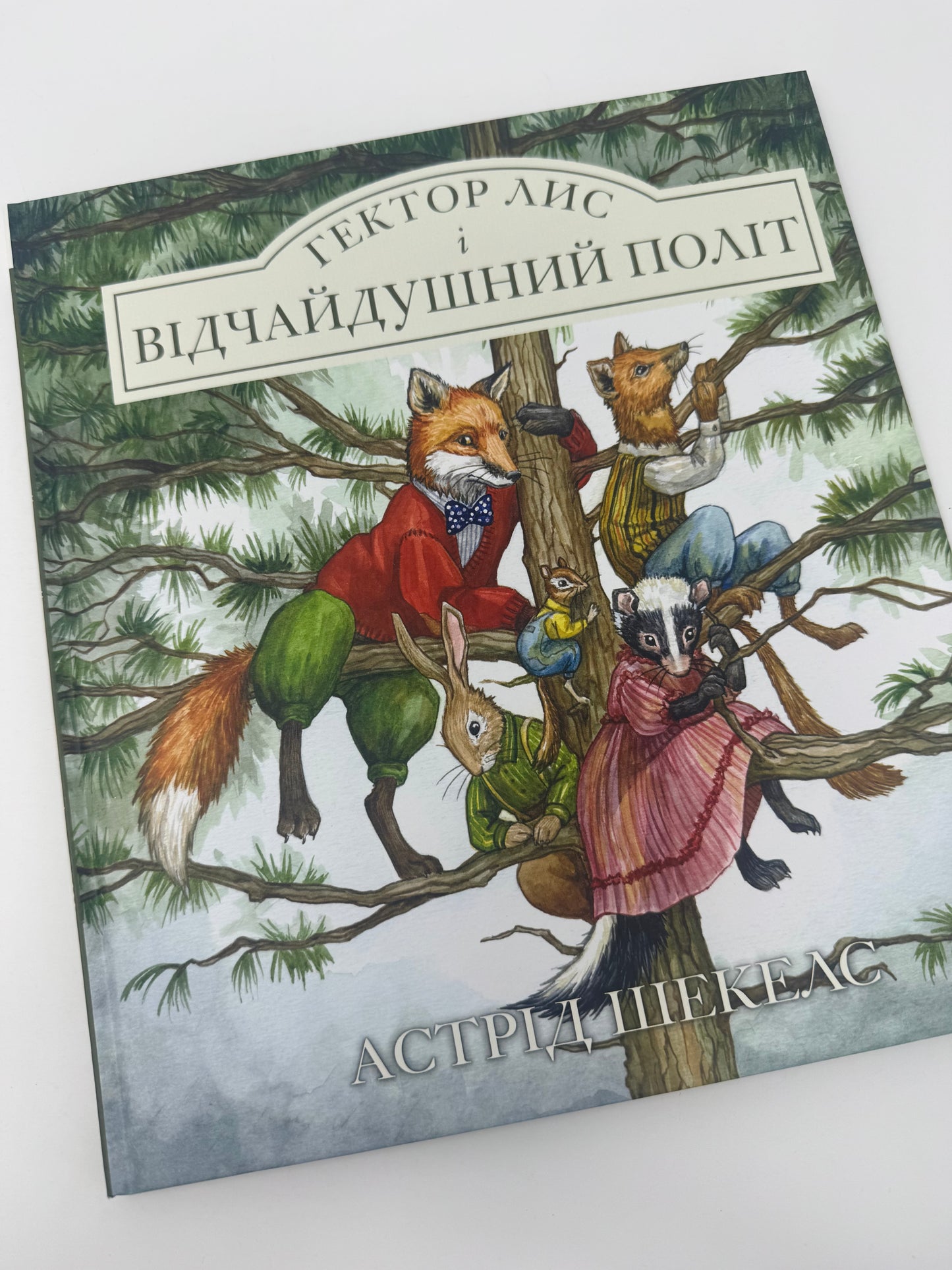Гектор Лис і Відчайдушний політ. Астрід Шекелс / Книги бестселери дитячі