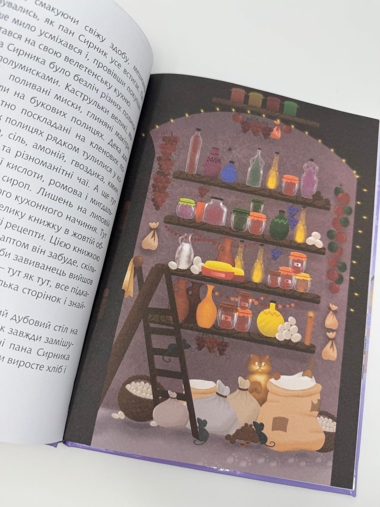 Пан Сирник і різдвяний пампушок. Світлана Лінинська / Книги про пана Сирника купити