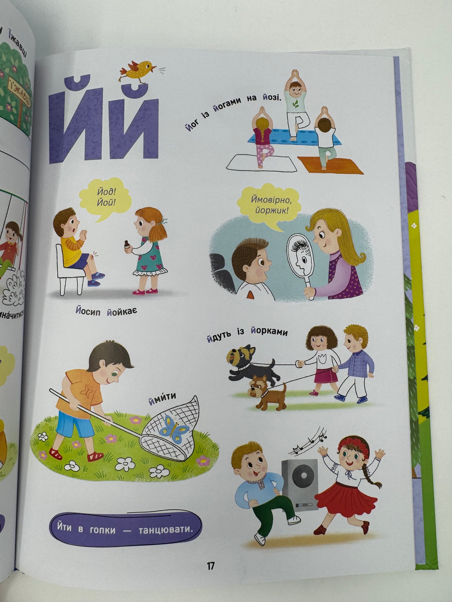 Соловʼїна абетка. Словоскарб / Українські абетки купити книги абетка