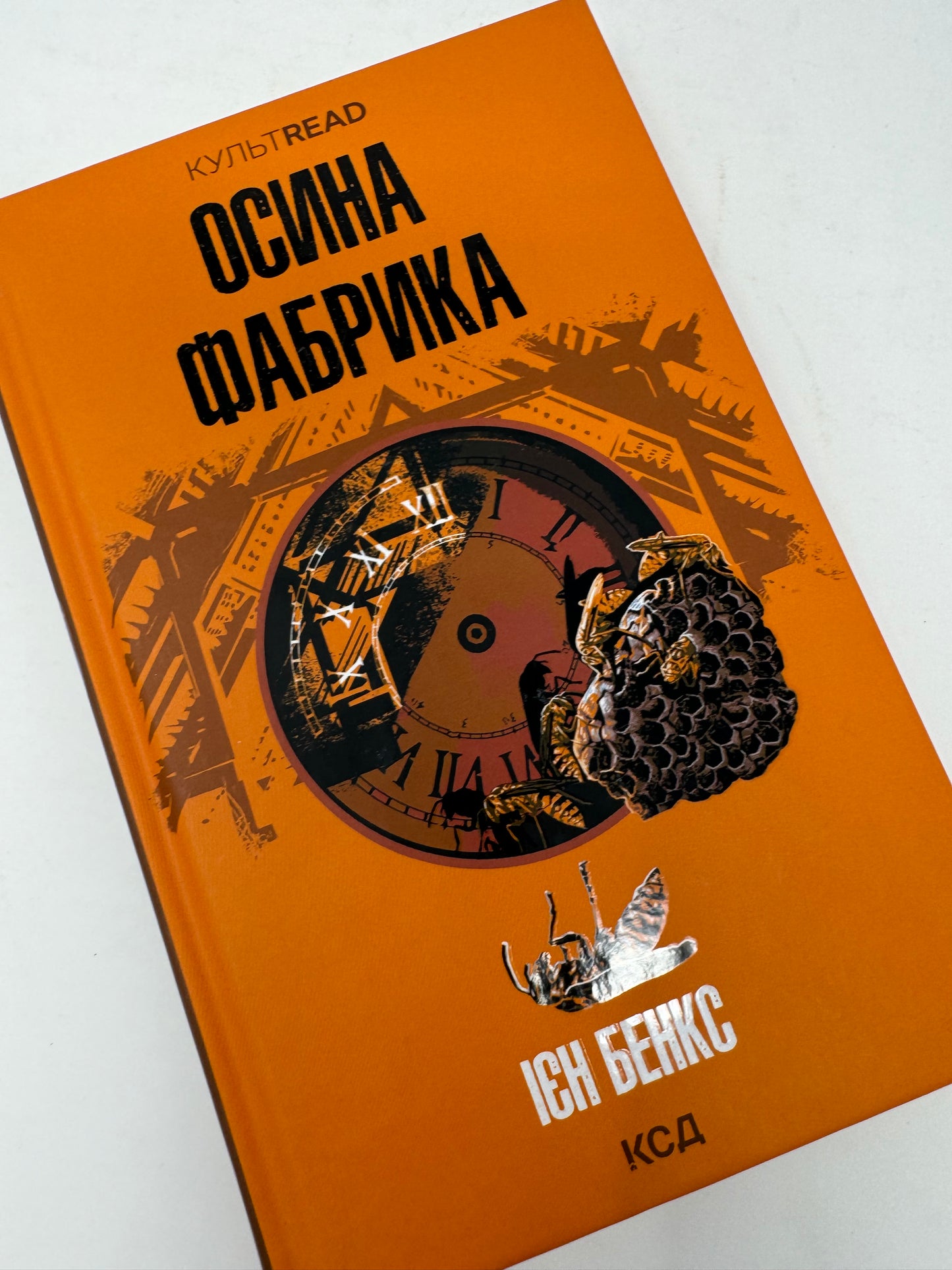 Осина фабрика. Ієн Бенкс /  Світові бестселери українською