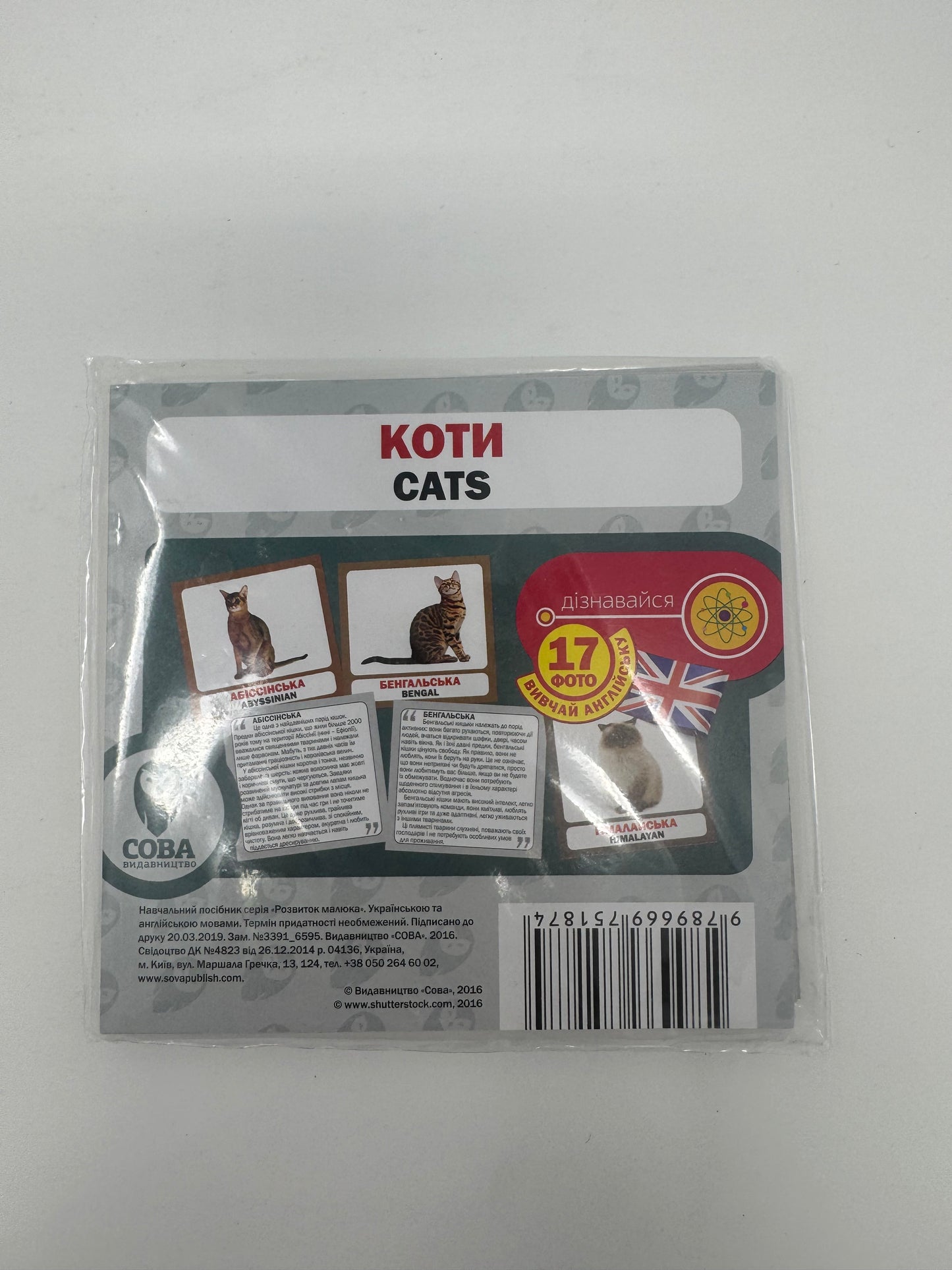 Коти. Cats. Двомовні картки (українська/англійська) / Двомовні картки Домана в США. Bilingual cards