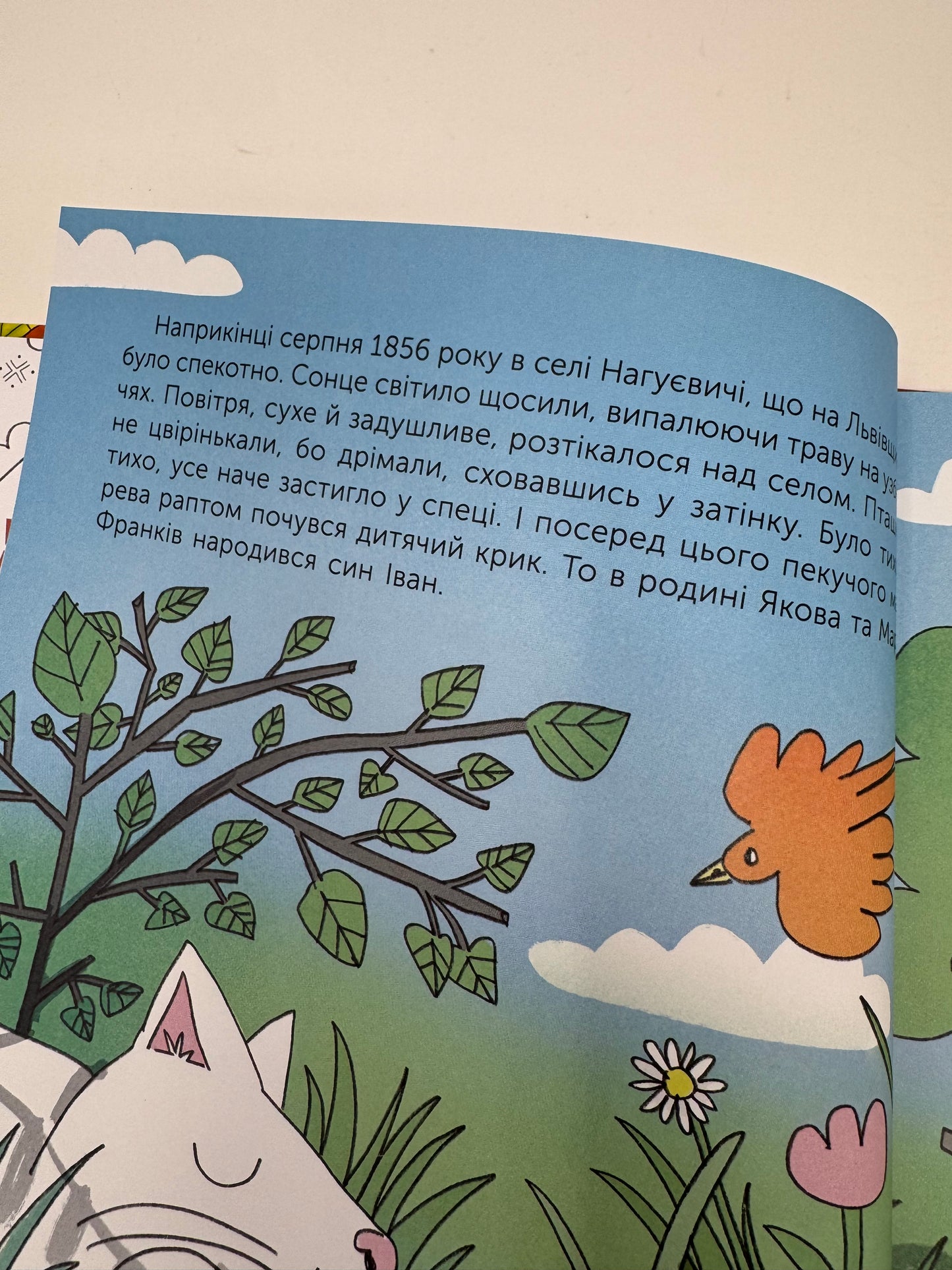 Хто такий Іван Франко? Оповідь у малюнках / Книги для дітей про відомих українців