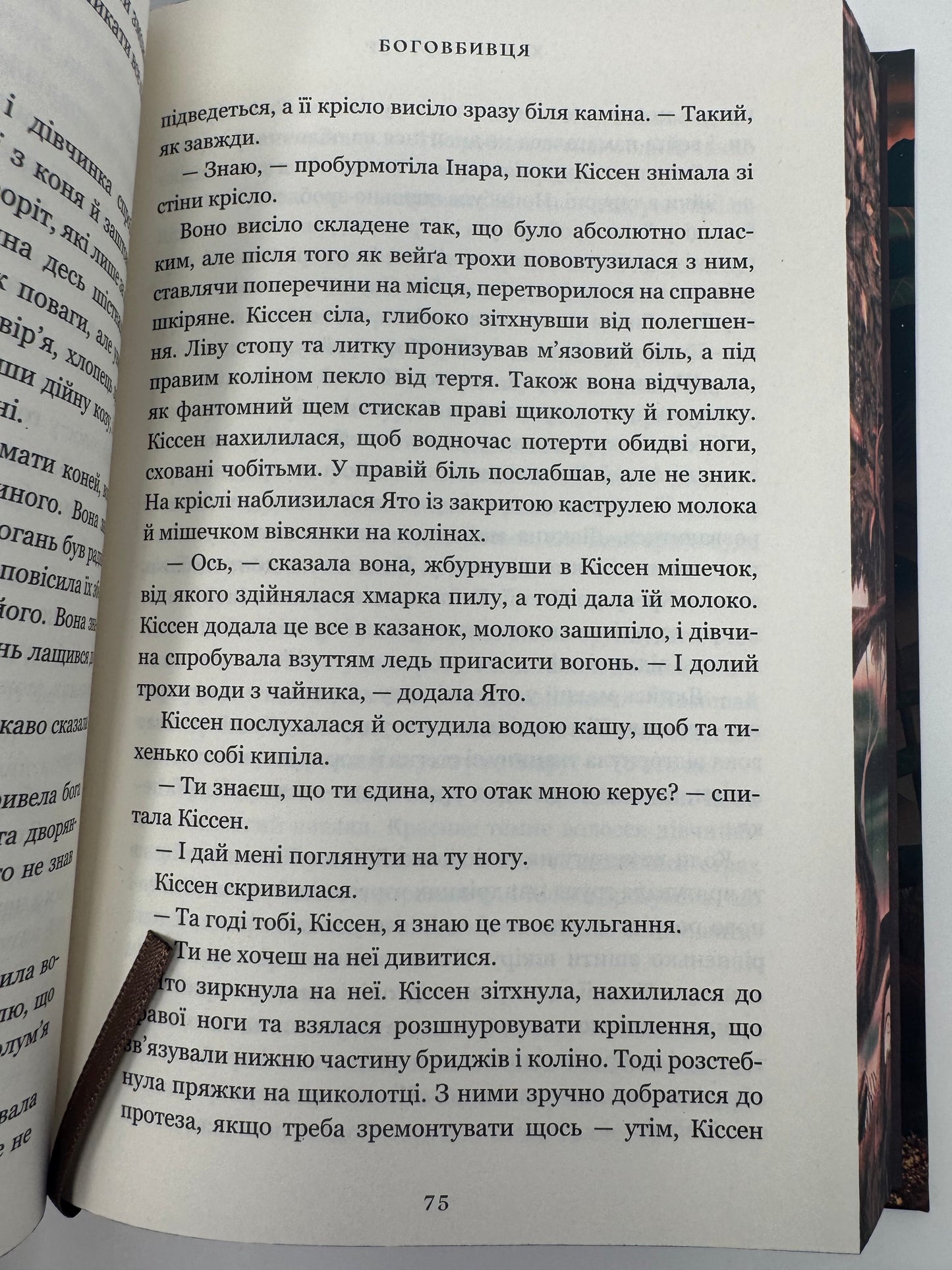 Боговбивця. Limited edition. Ханна Кейнер / Світове фентезі українською