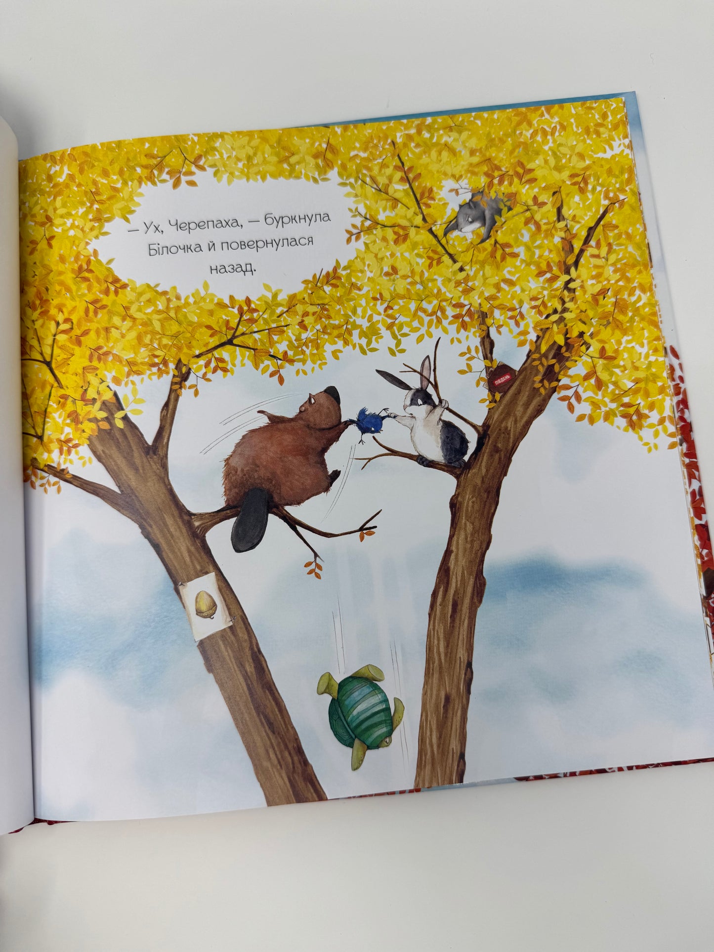 Золотий жолудь. Кеті Гадсон / Книги для осінніх читань купити для дітей