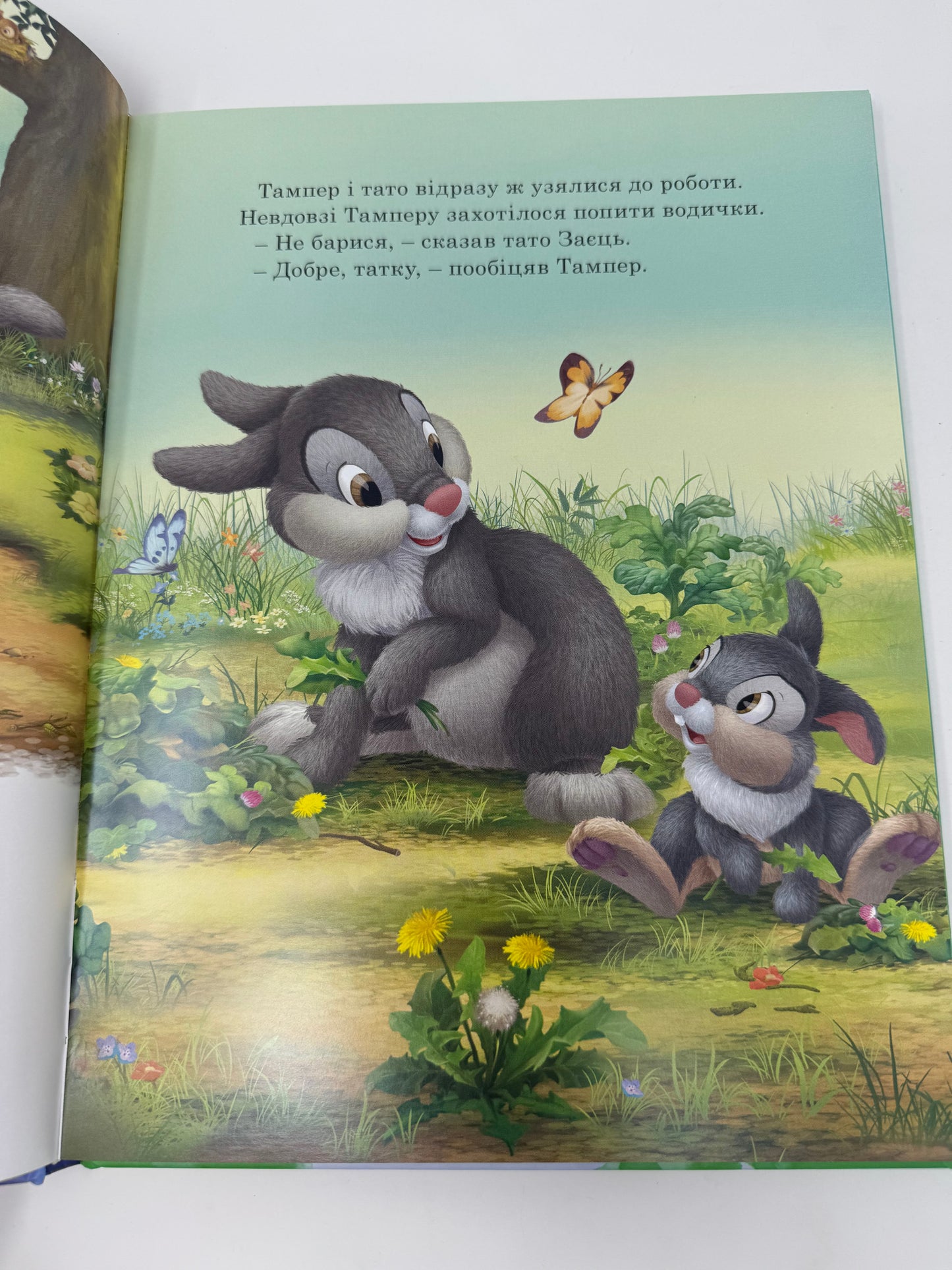 Пухнасті історії. Колекція Disney / Disney книги українською